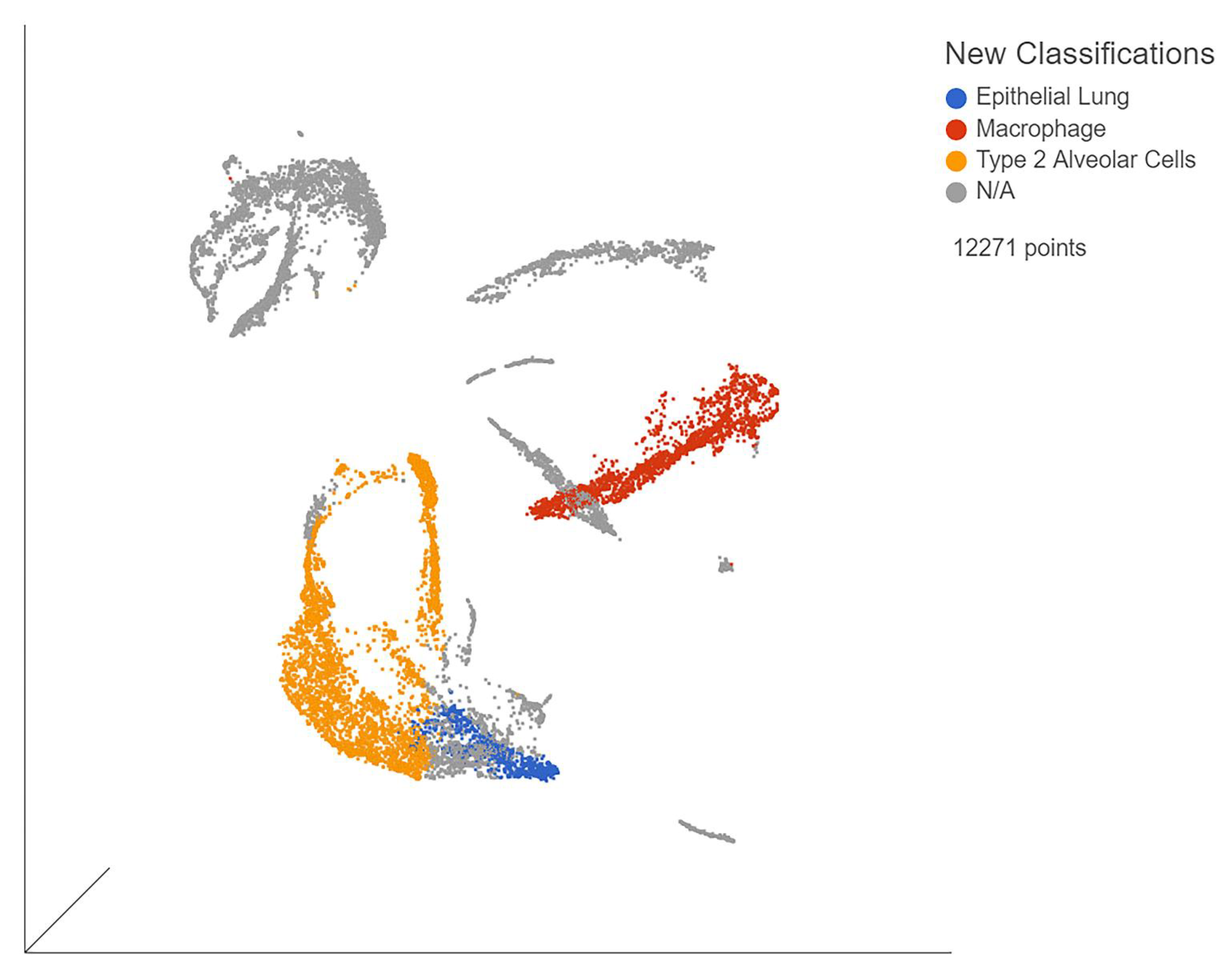 Viruses 13 02418 g002