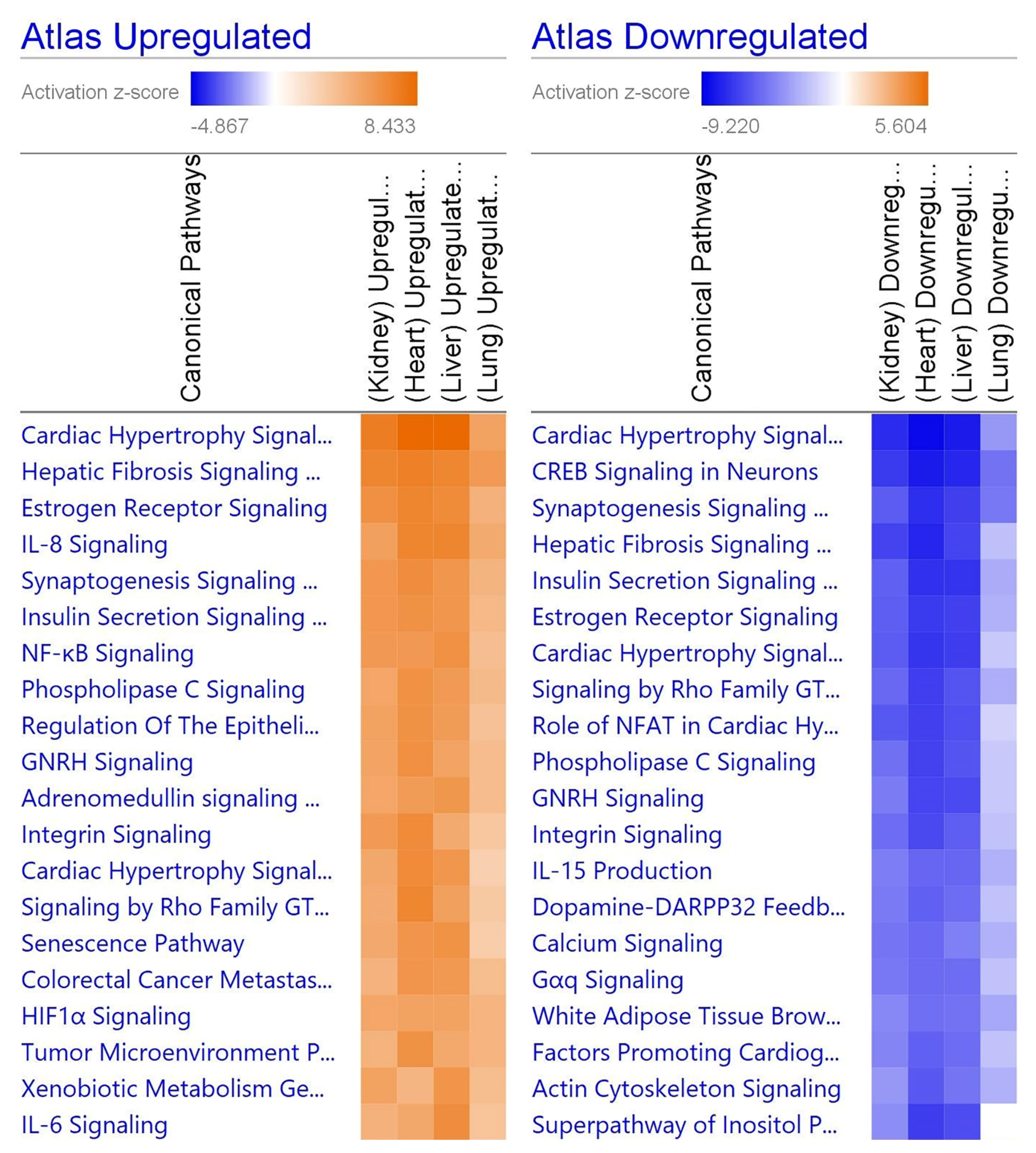 Viruses 13 02418 g004