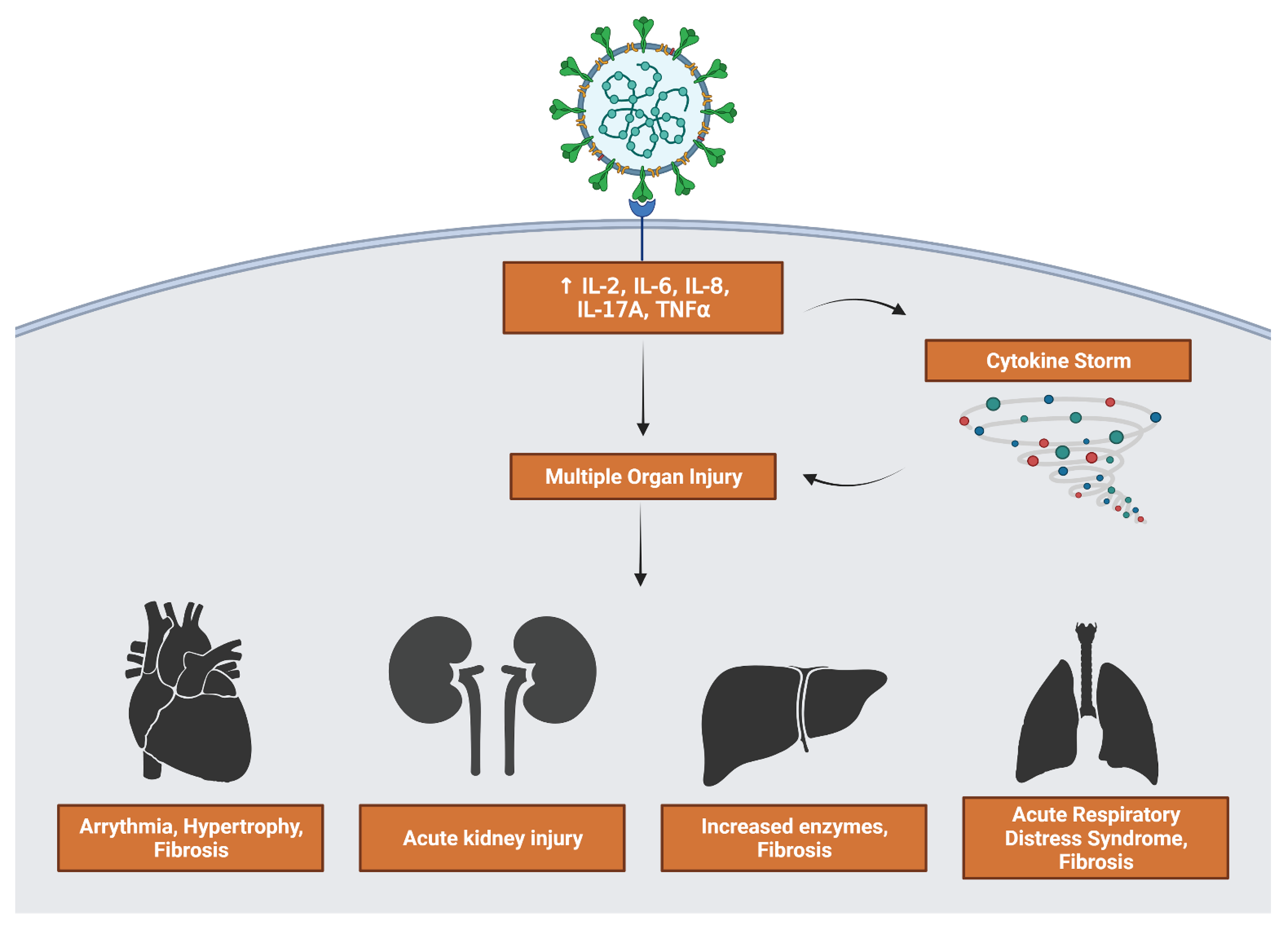 Viruses 13 02418 g007