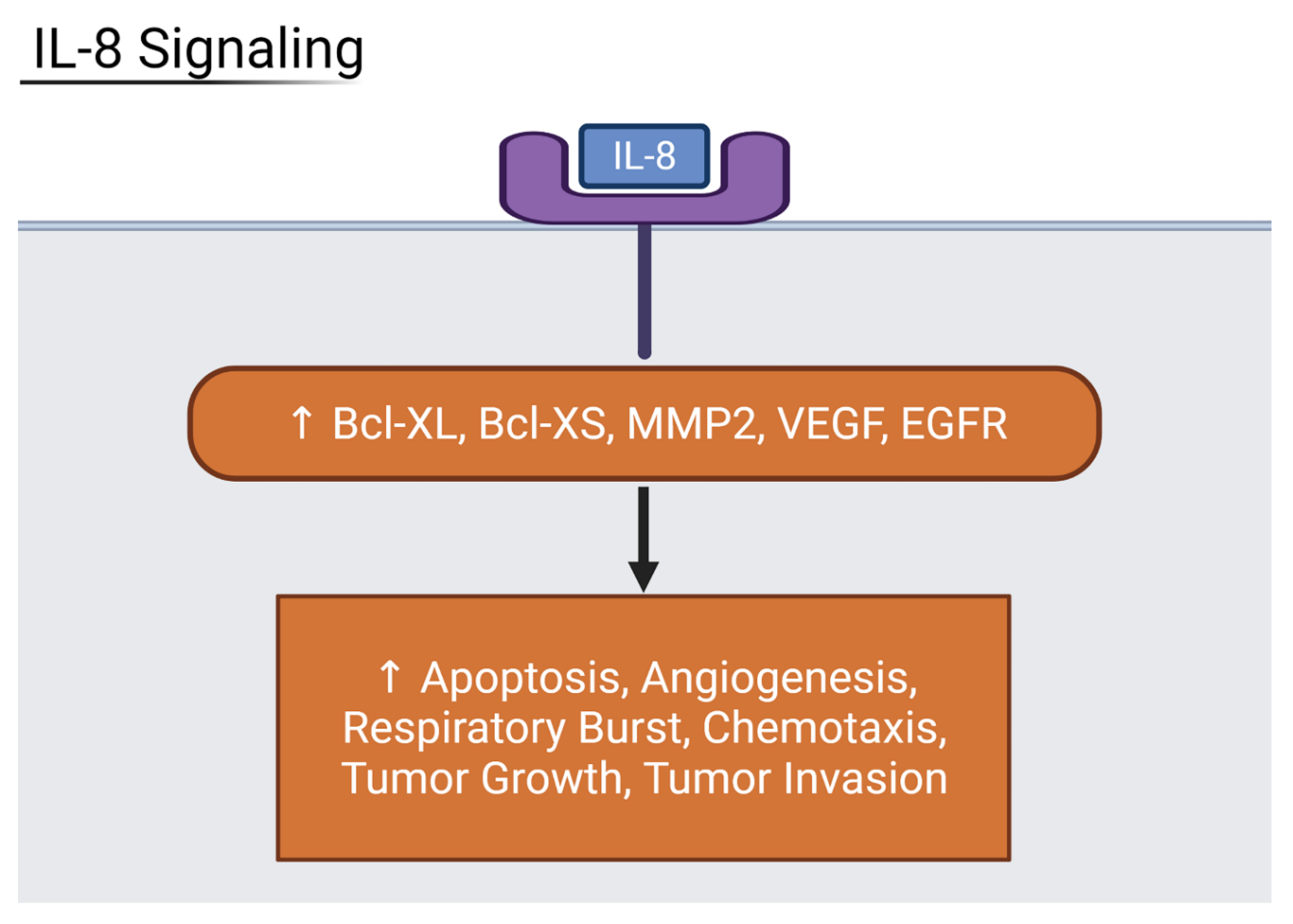 Viruses 13 02418 g008
