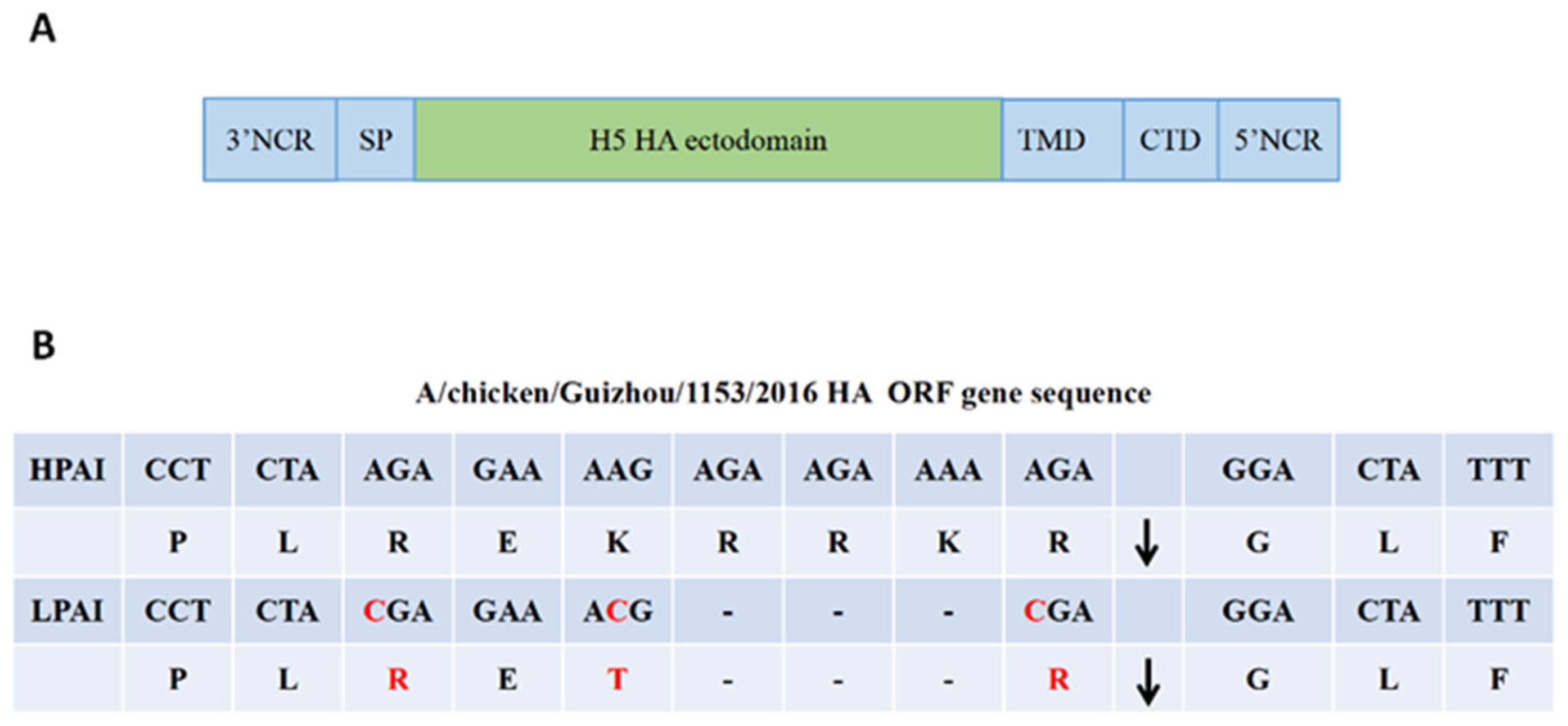 Viruses 13 02420 g001