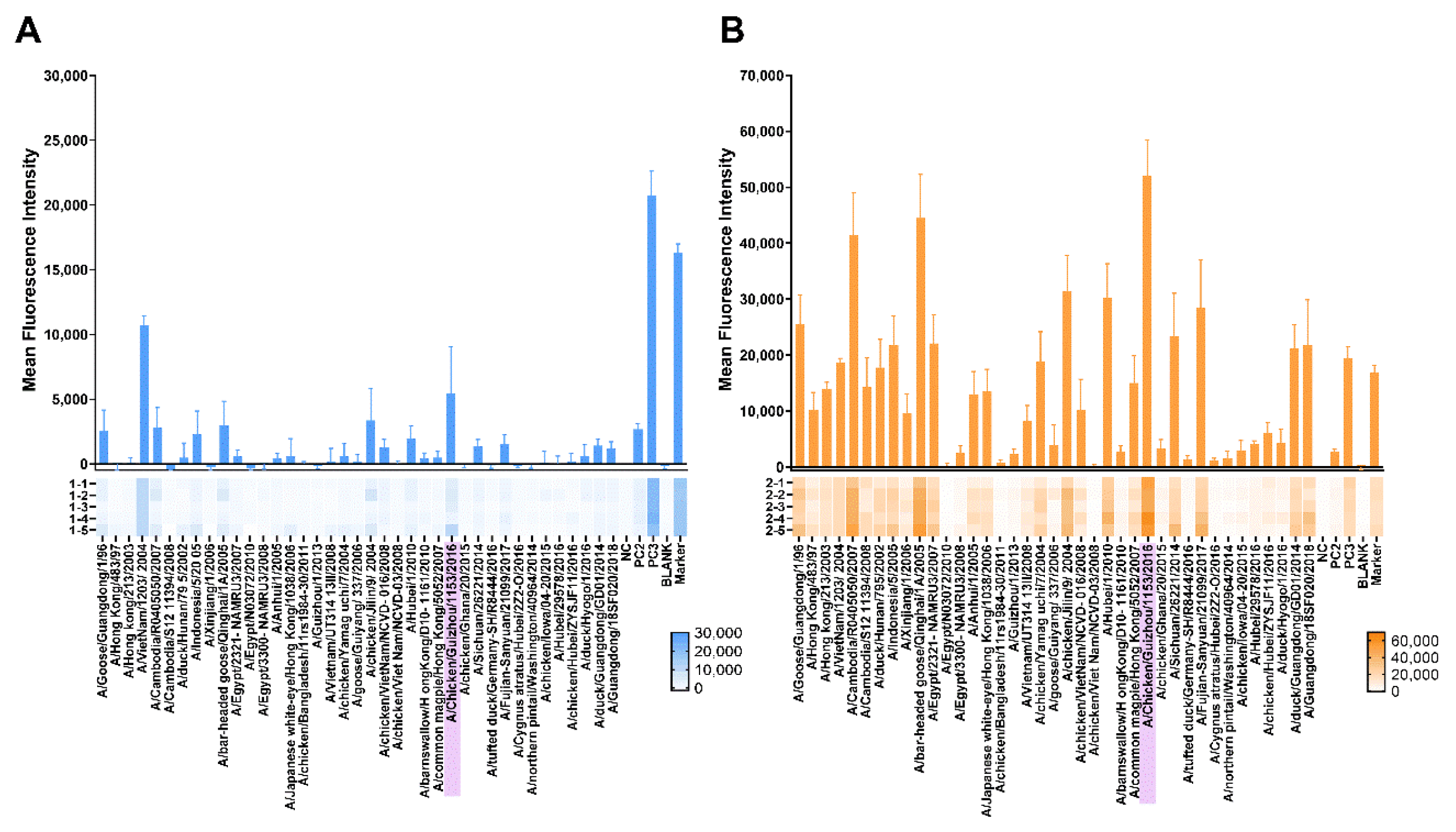 Viruses 13 02420 g005