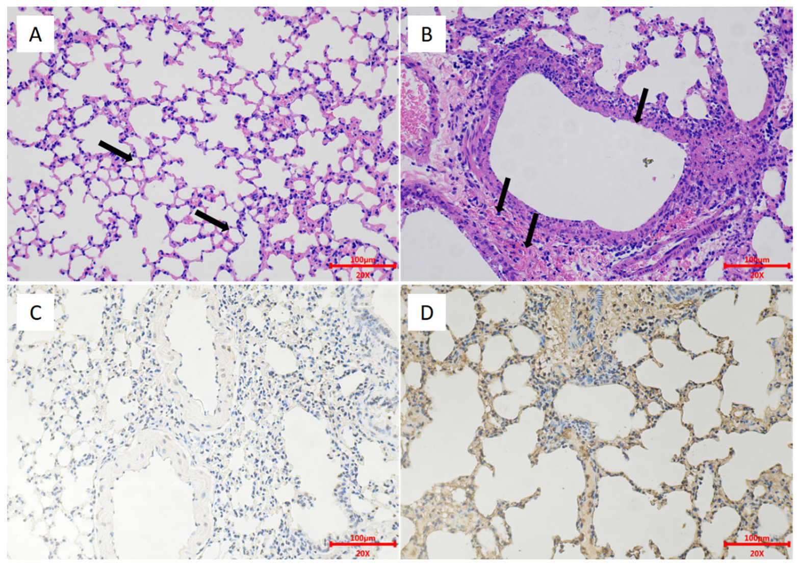 Viruses 13 02420 g009