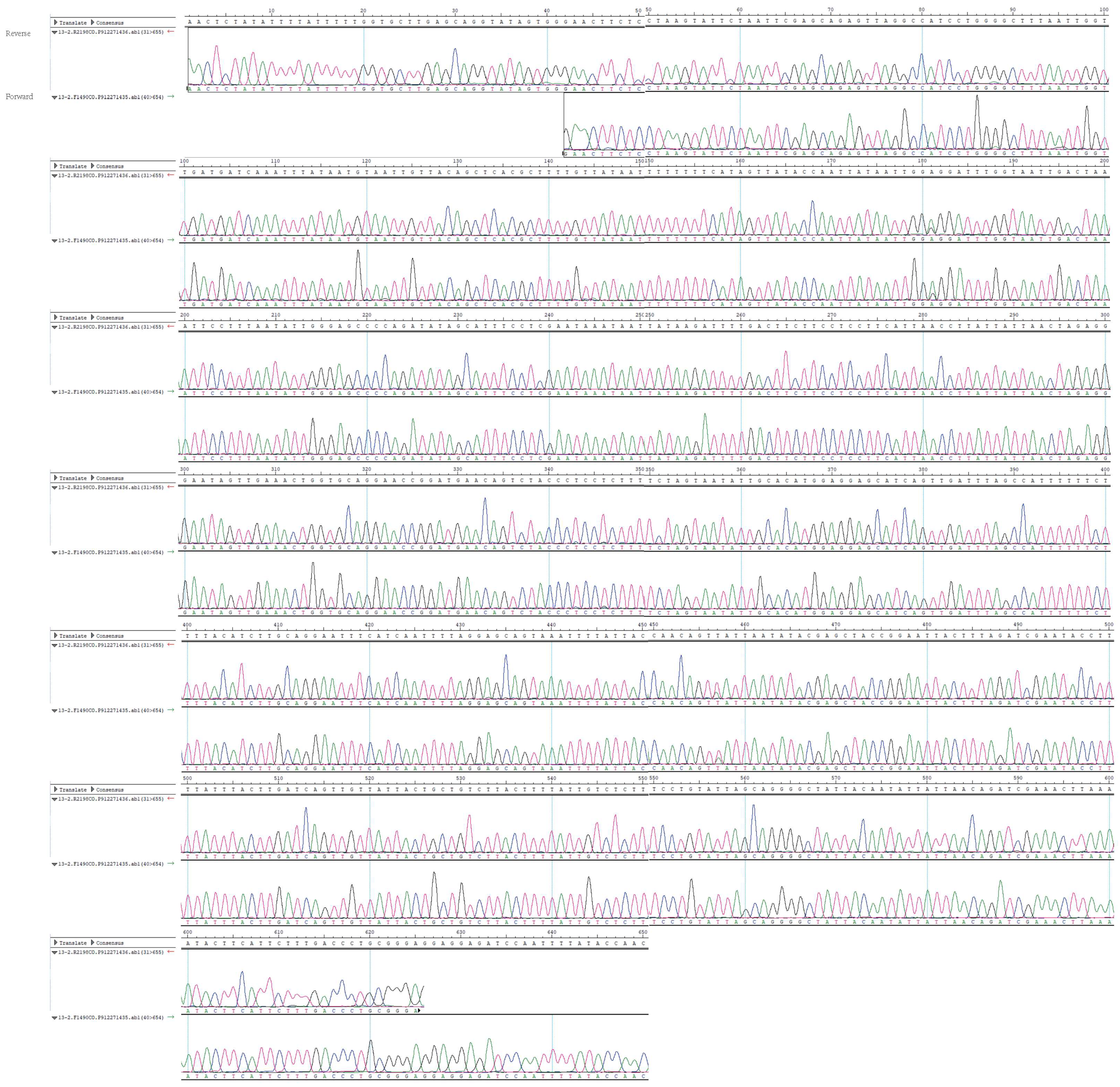 Viruses 13 02422 g001