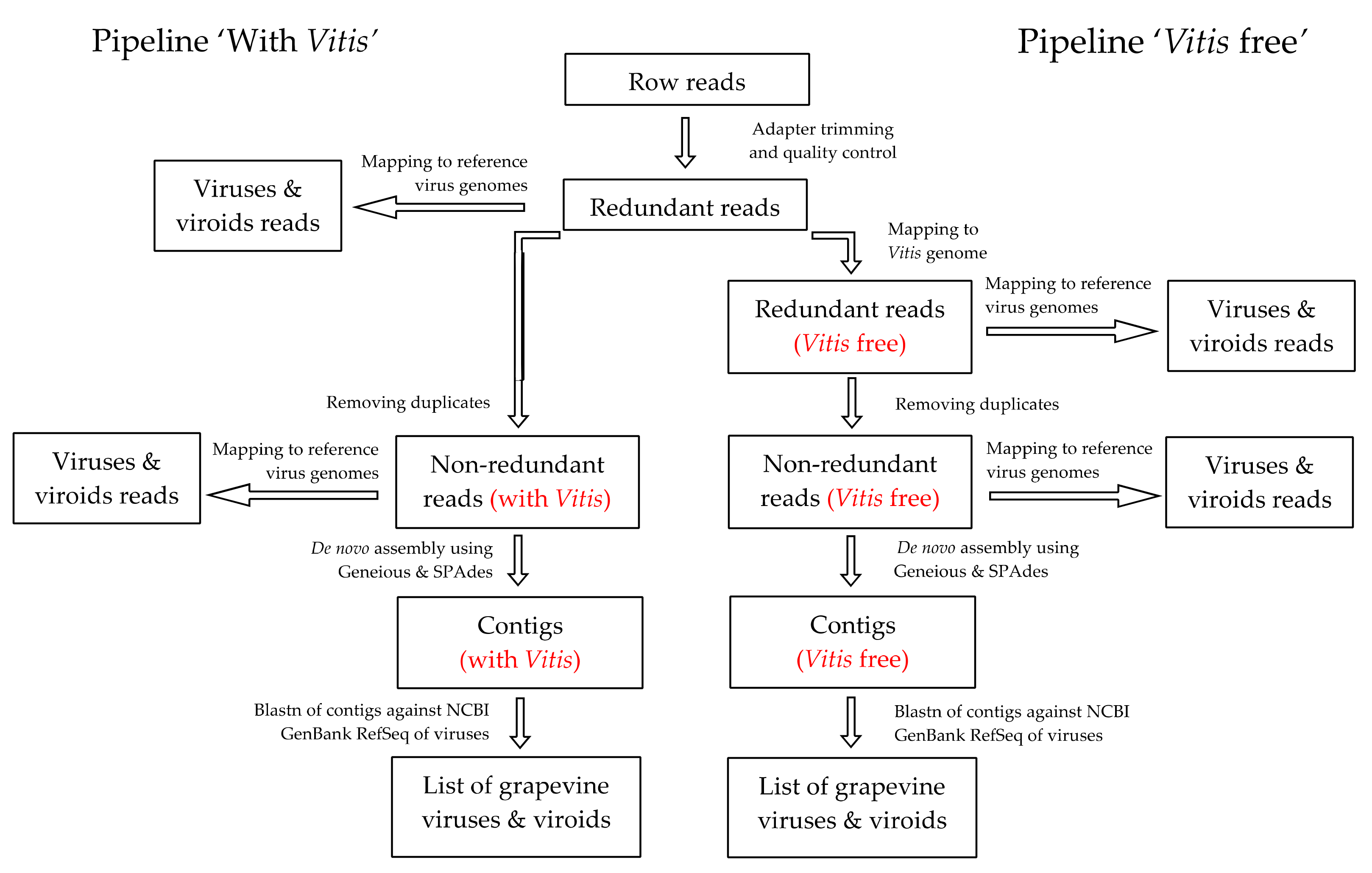 Viruses 13 02432 g001