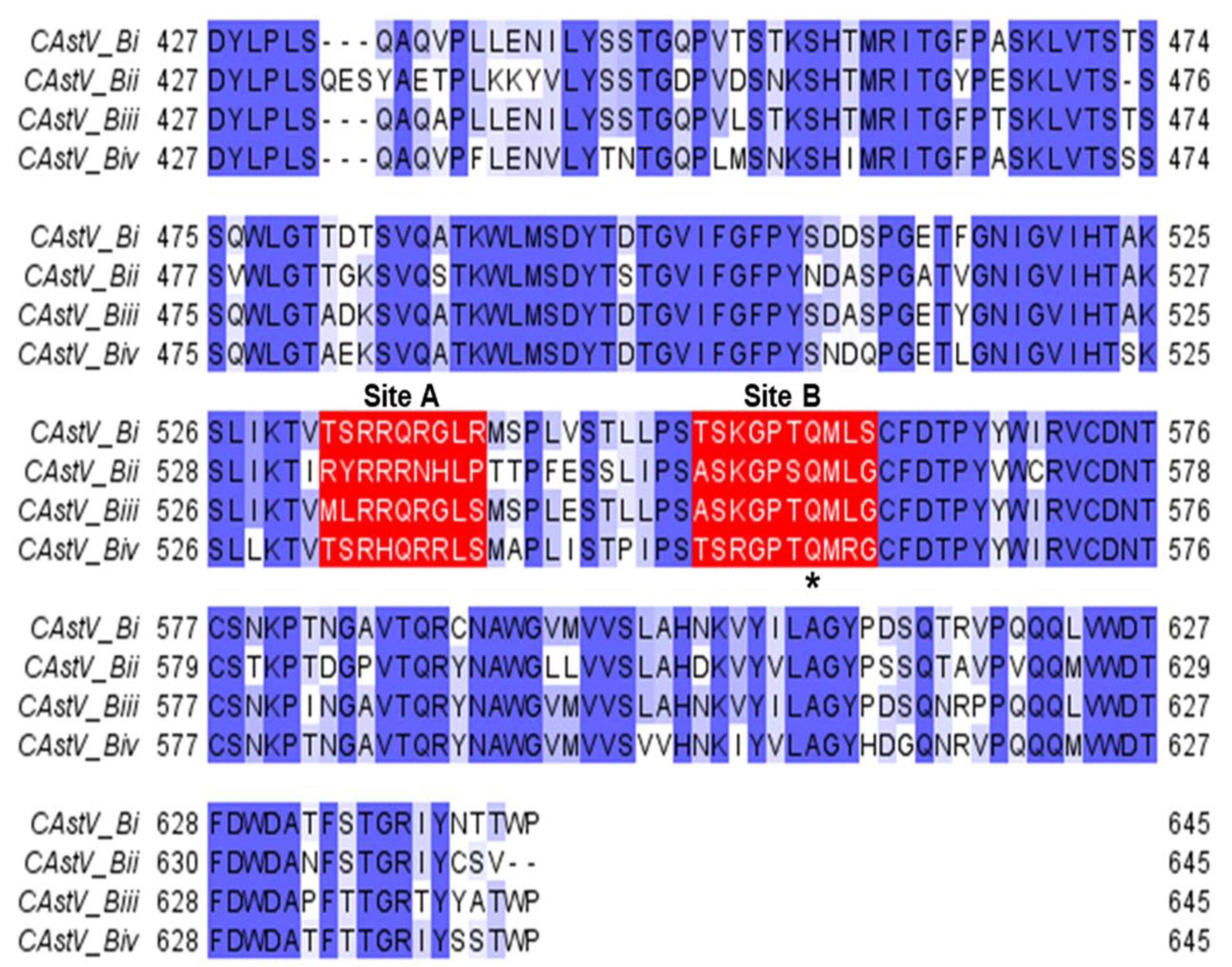 Viruses 13 02435 g003