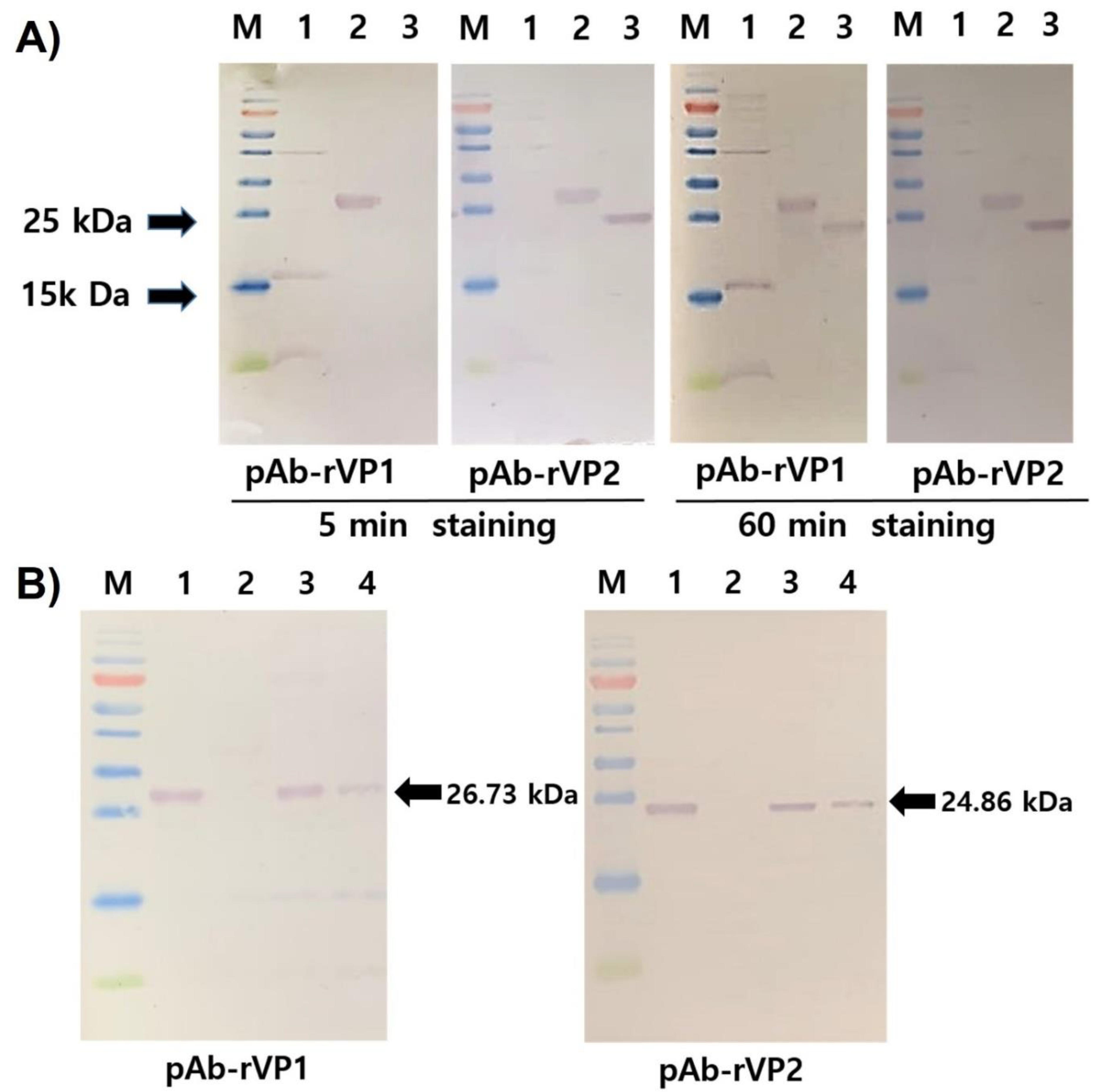 Viruses 13 02439 g003 Viruses 13 02439 g003