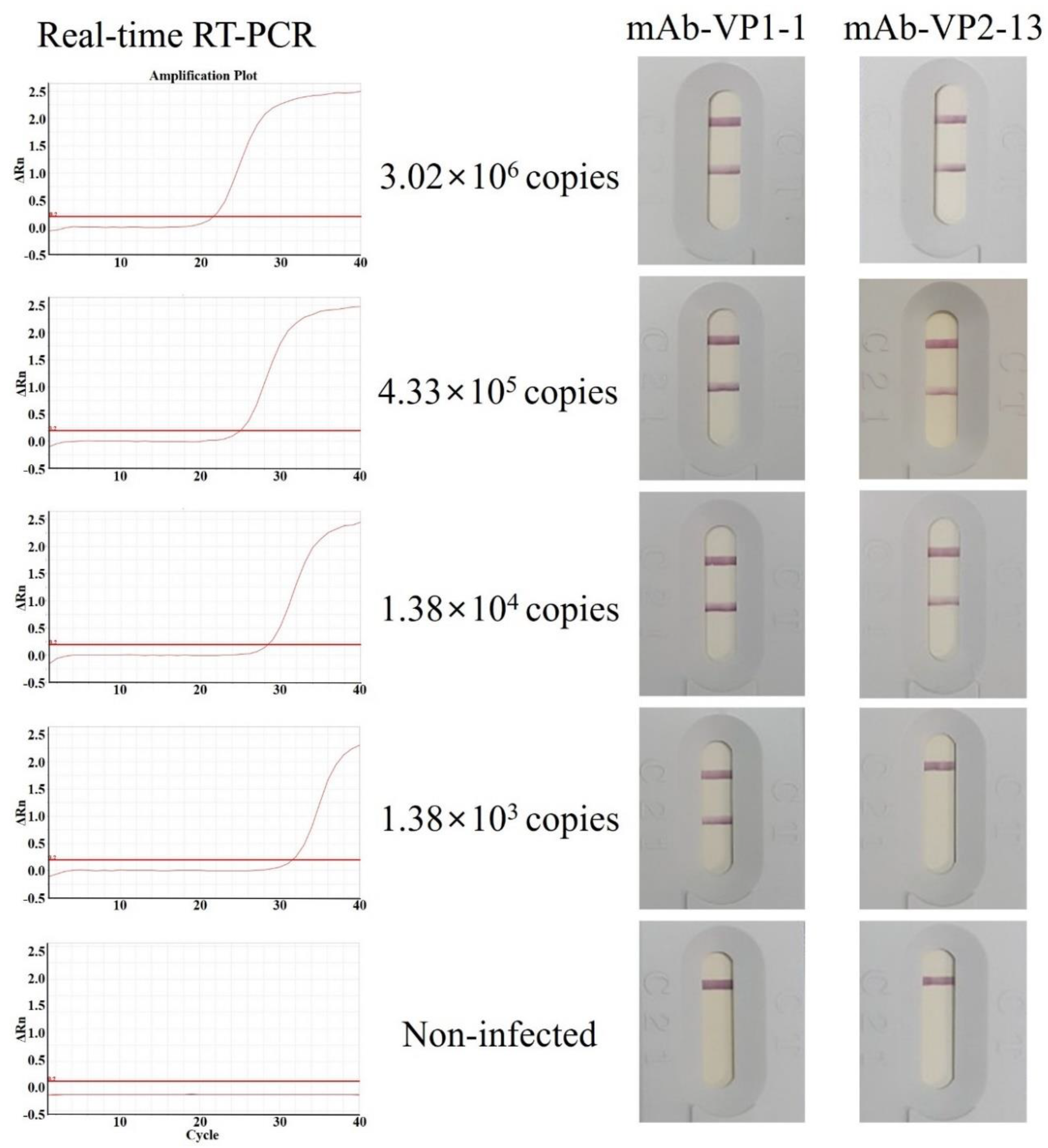 Viruses 13 02439 g005 Viruses 13 02439 g005