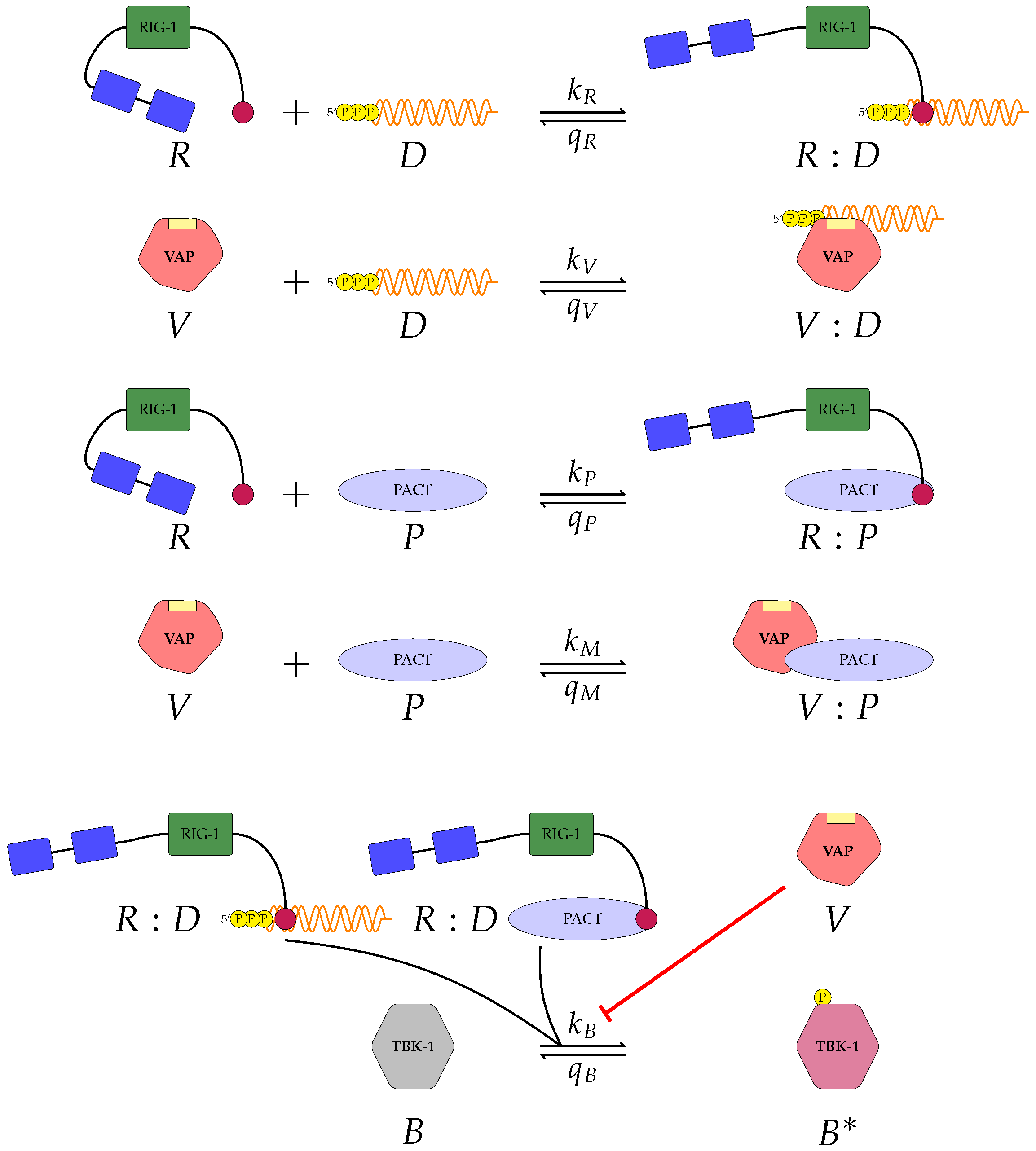 Viruses 13 02441 g002