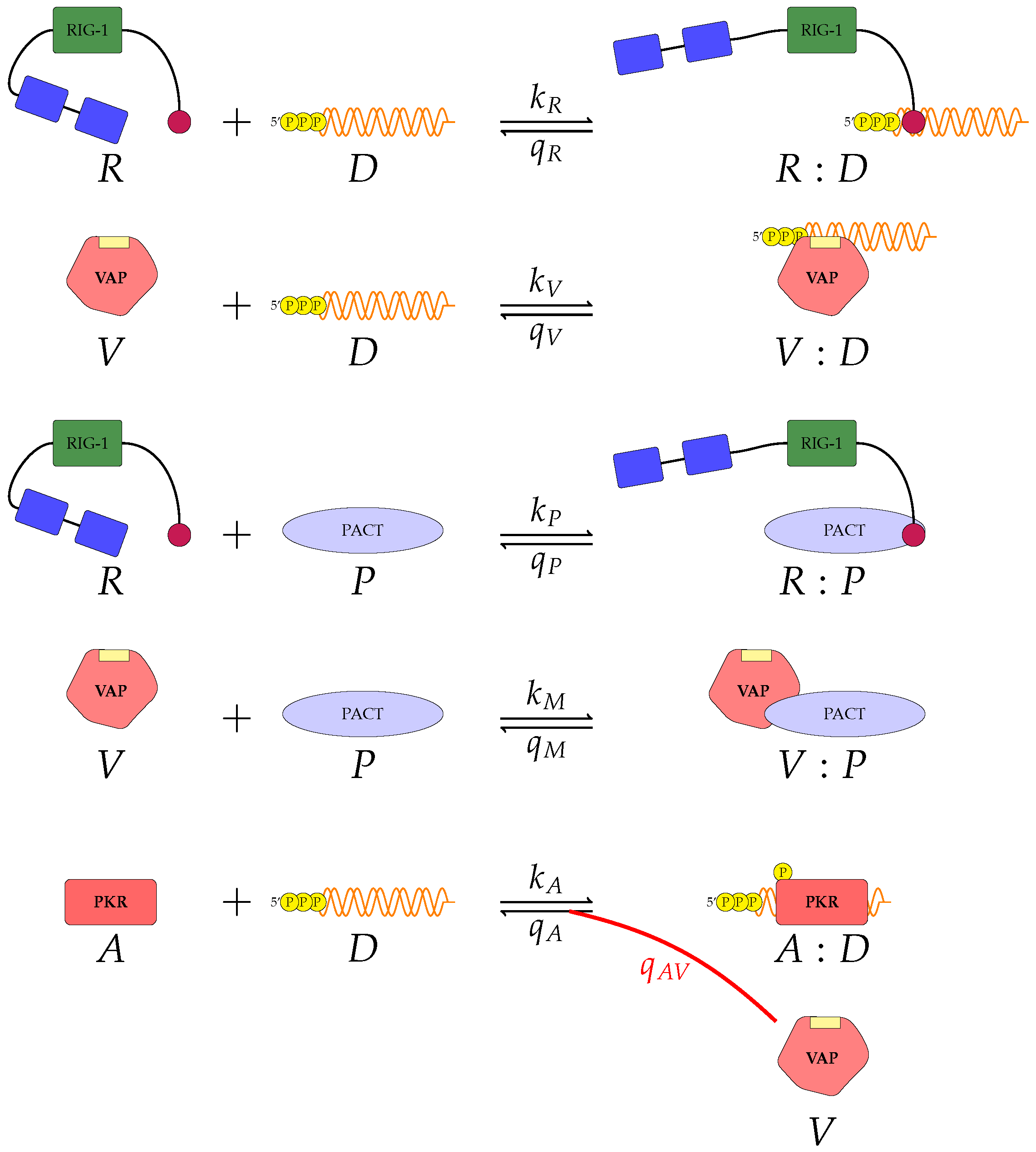Viruses 13 02441 g003