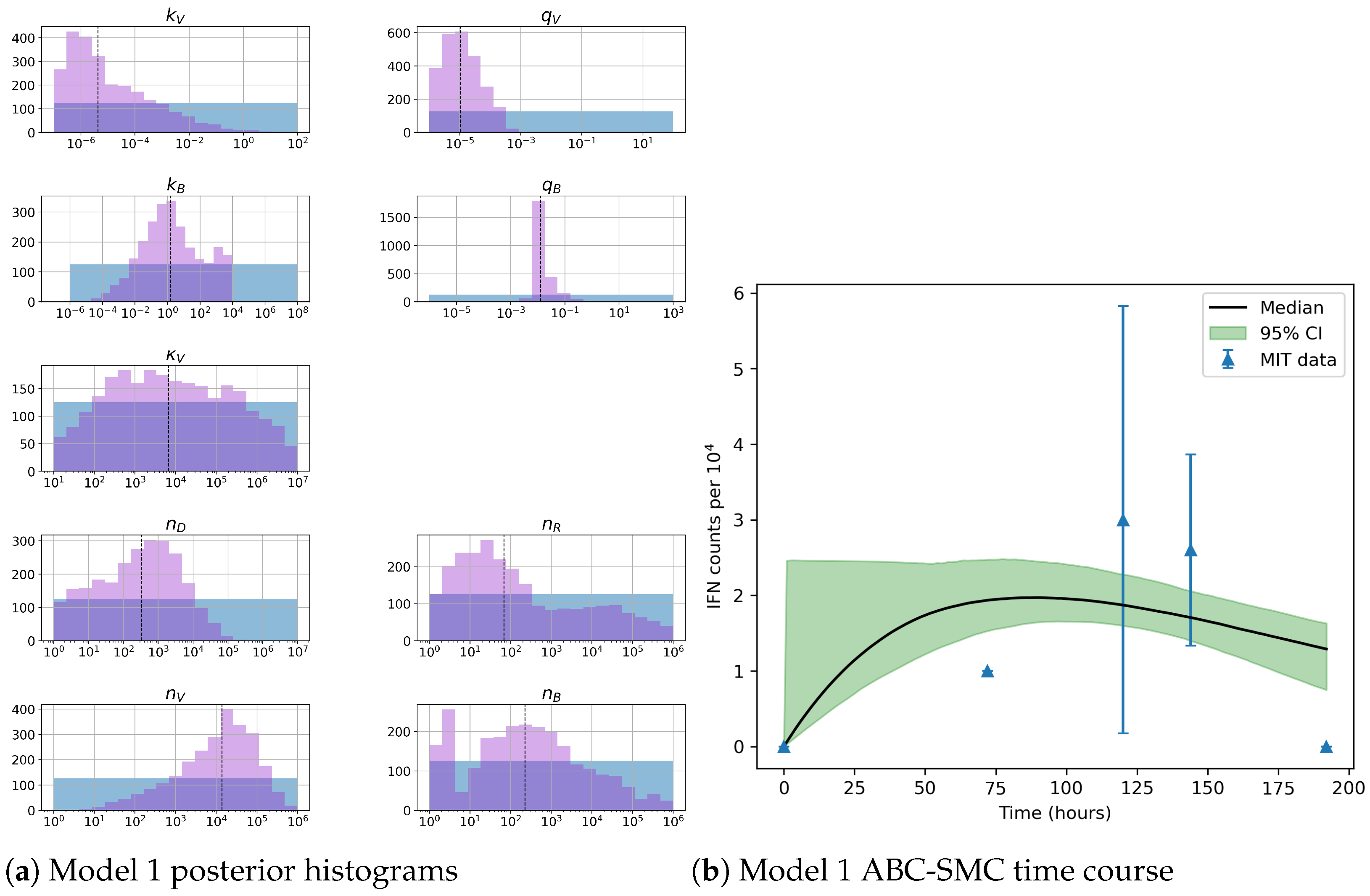 Viruses 13 02441 g007