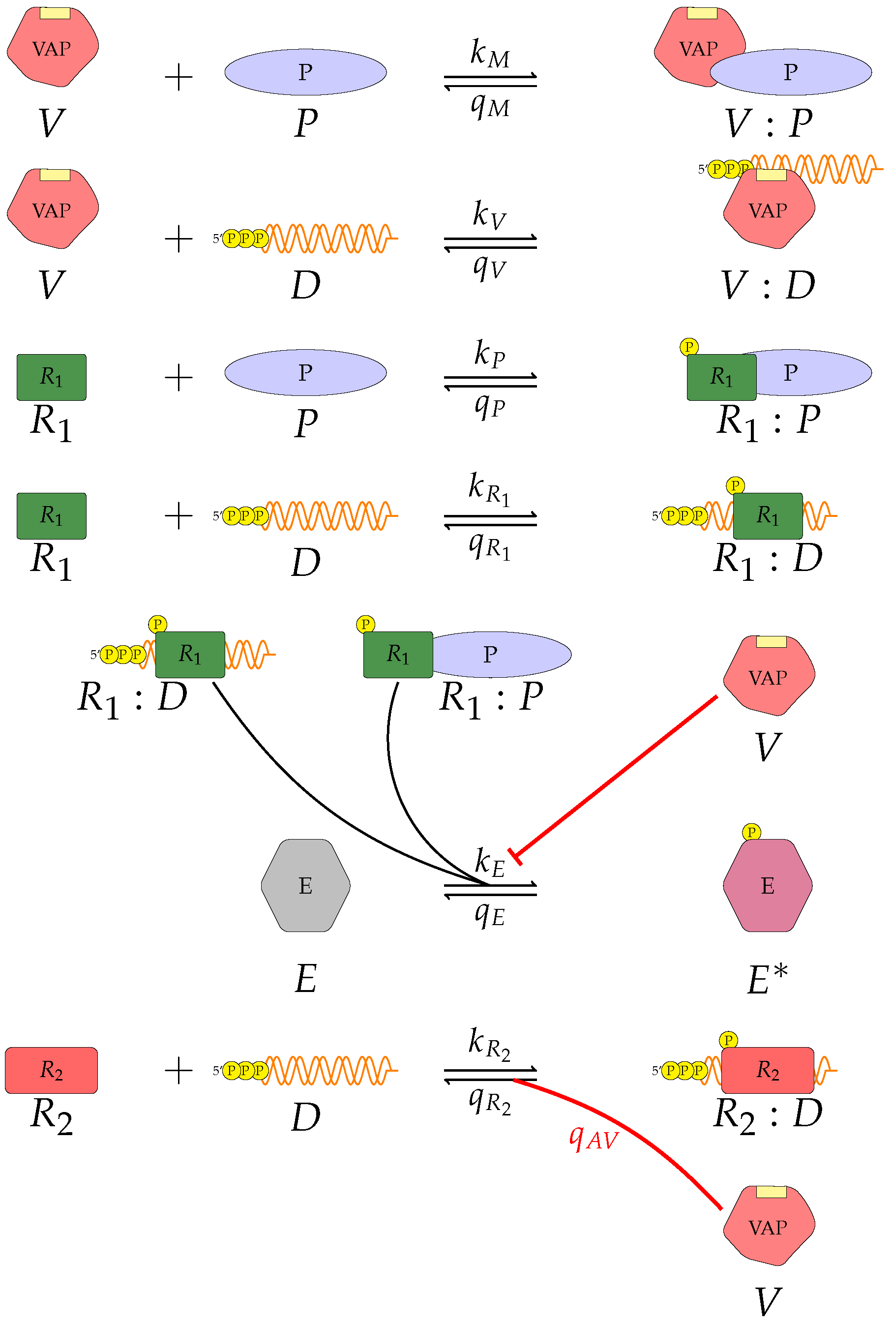 Viruses 13 02441 g012