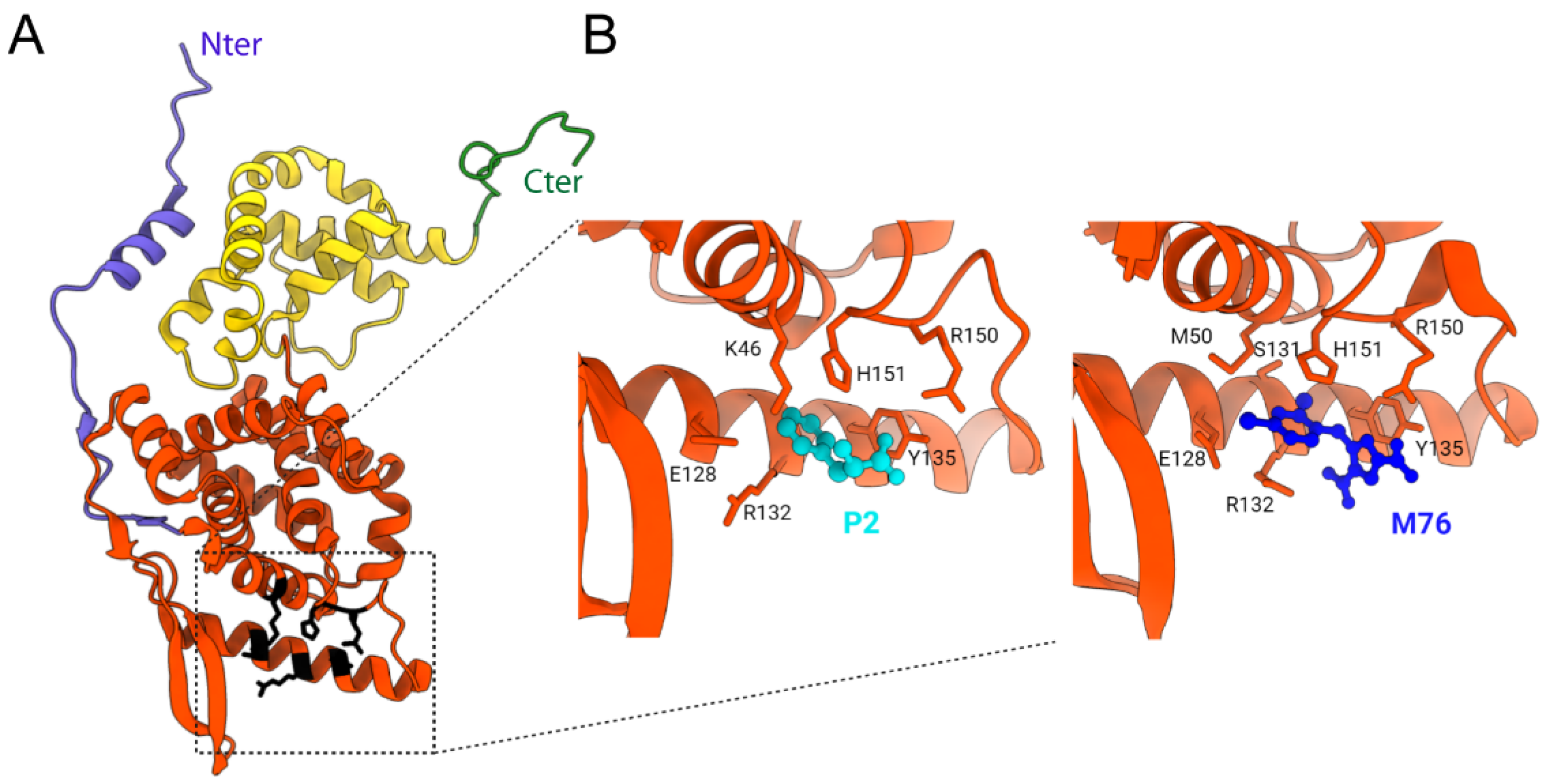 Viruses 13 02449 g006