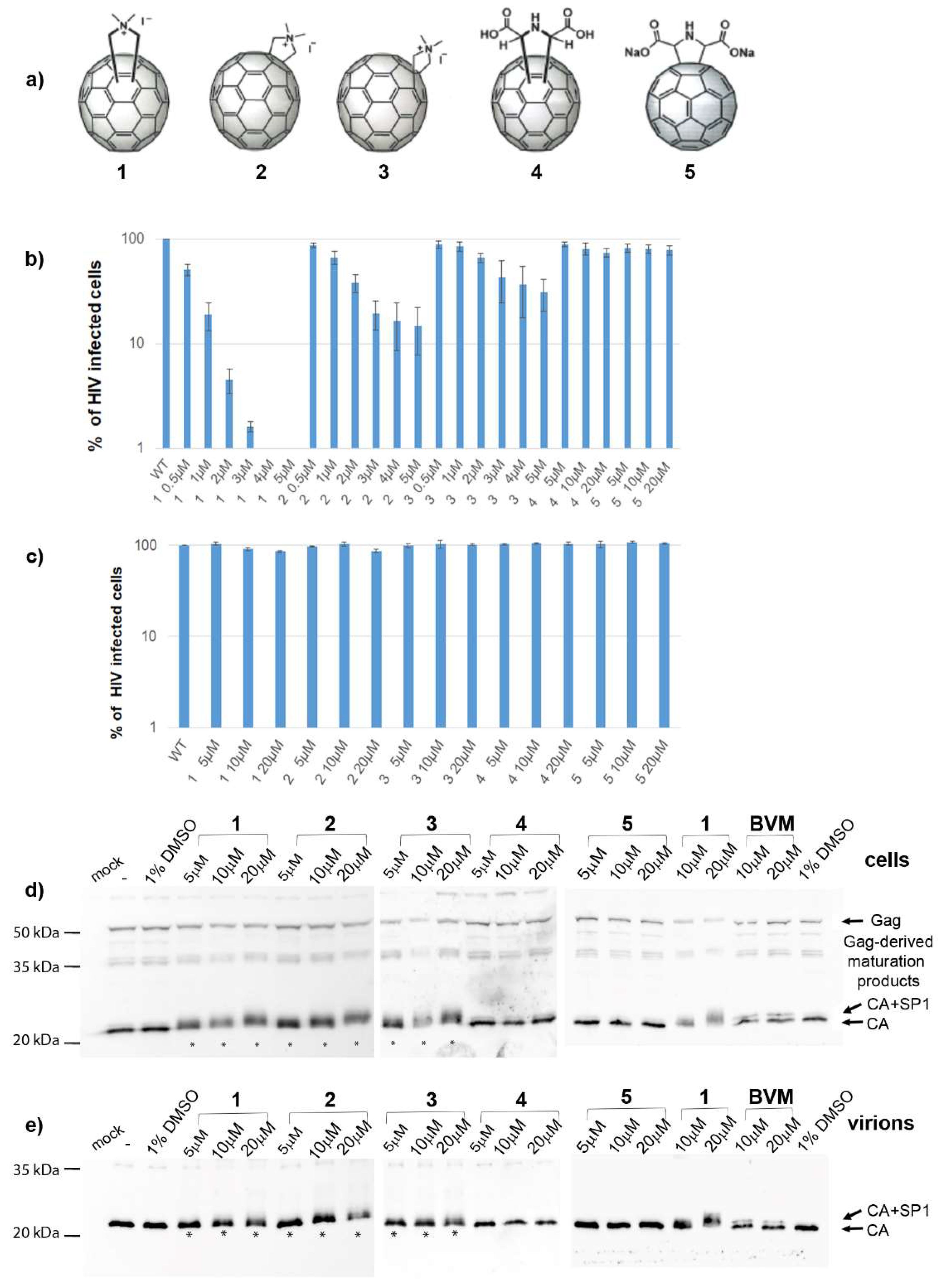 Viruses 13 02451 g001