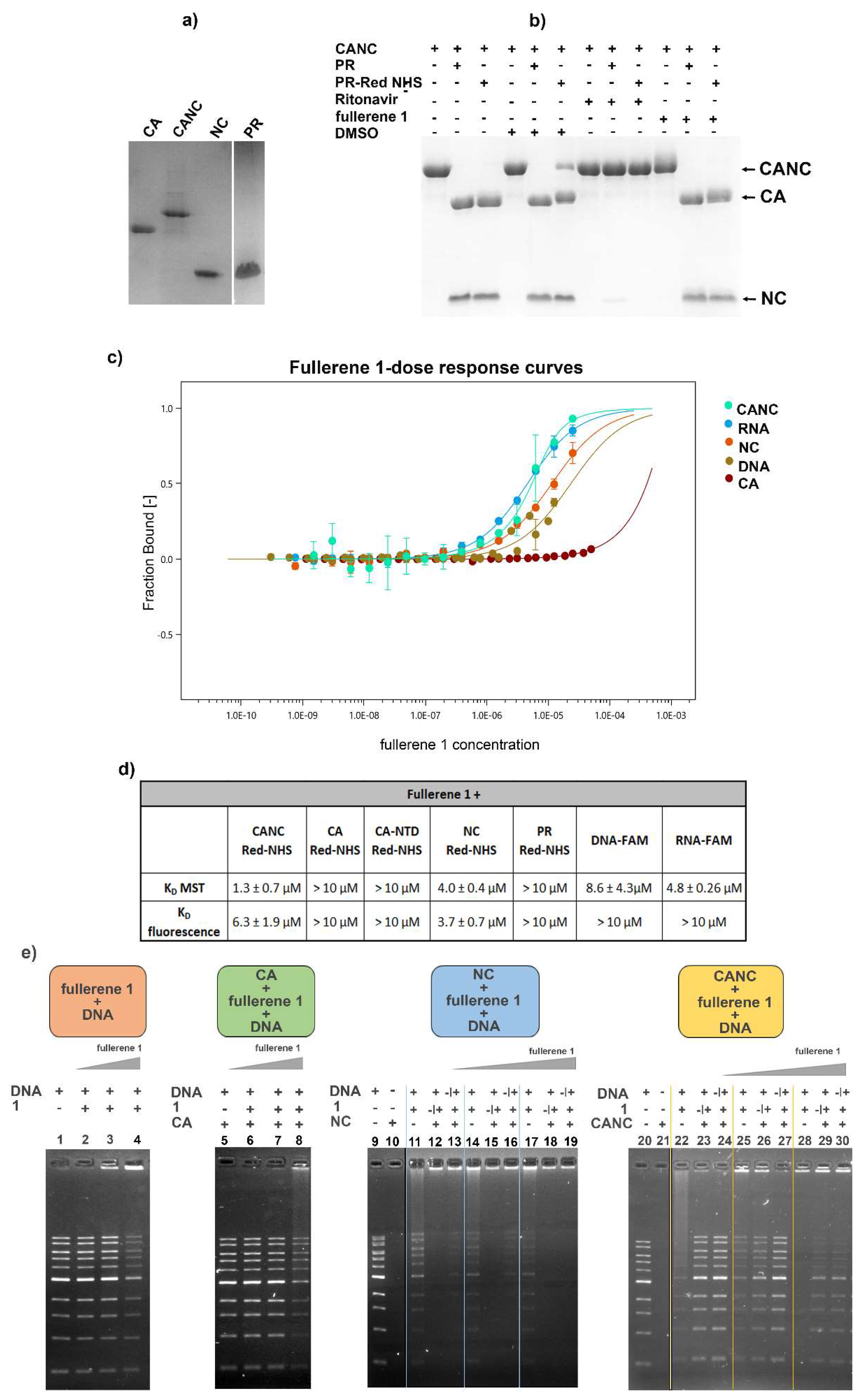 Viruses 13 02451 g005