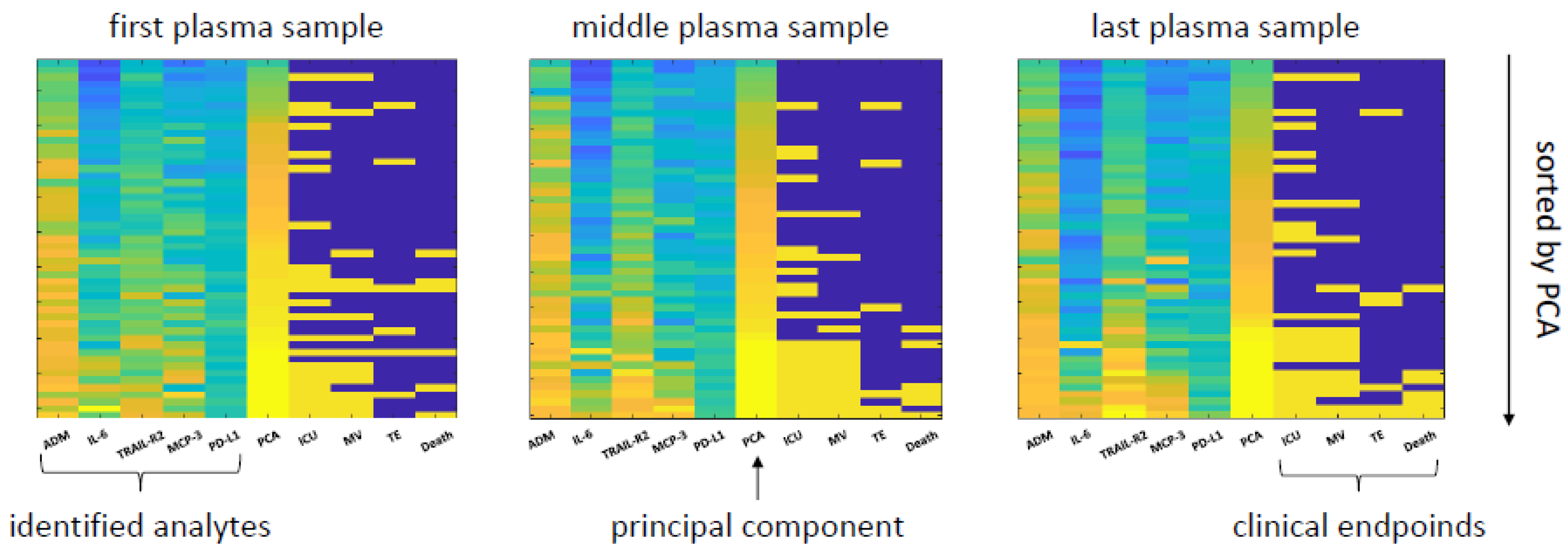 Viruses 13 02456 g005