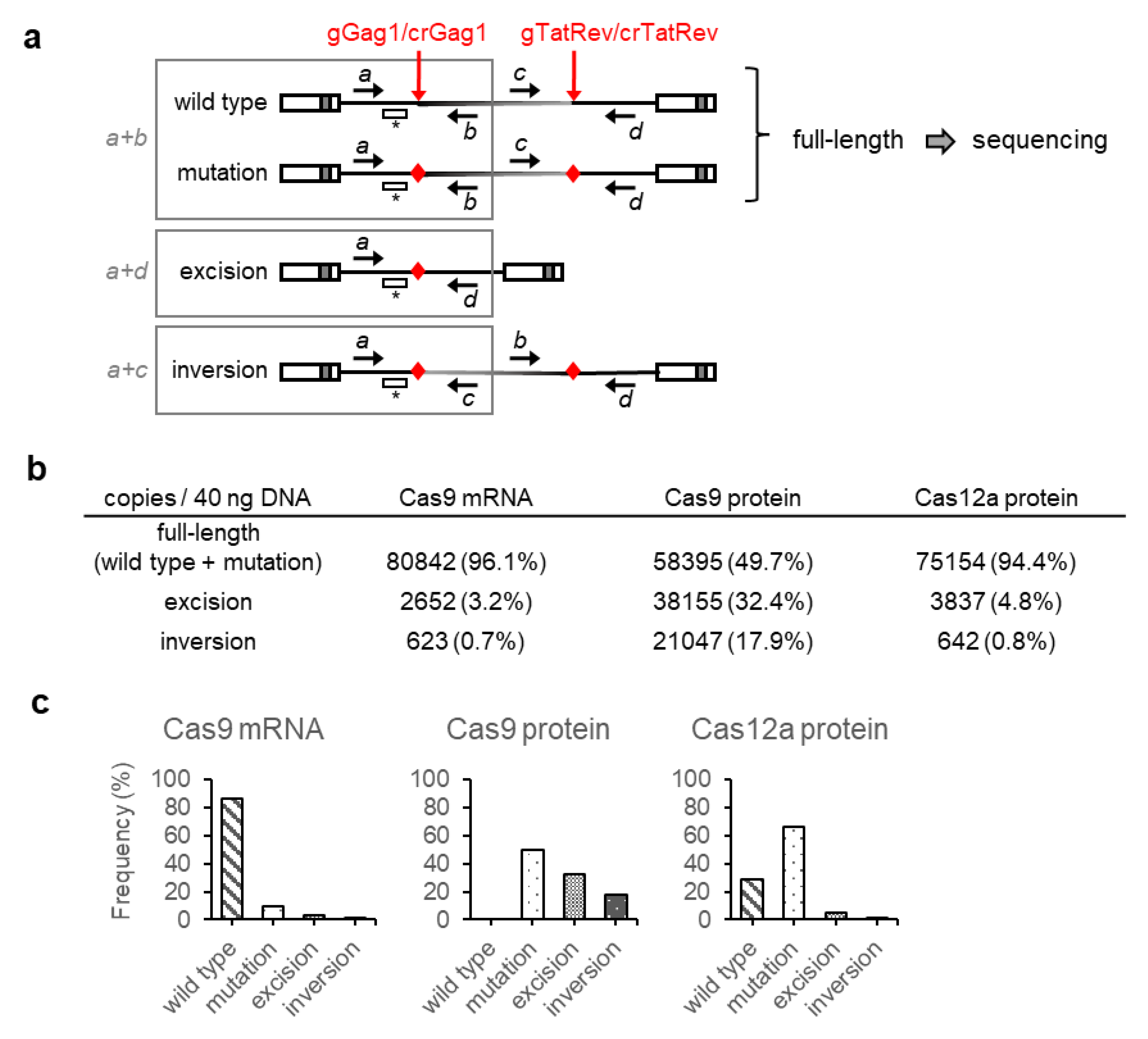 Viruses 13 02461 g003