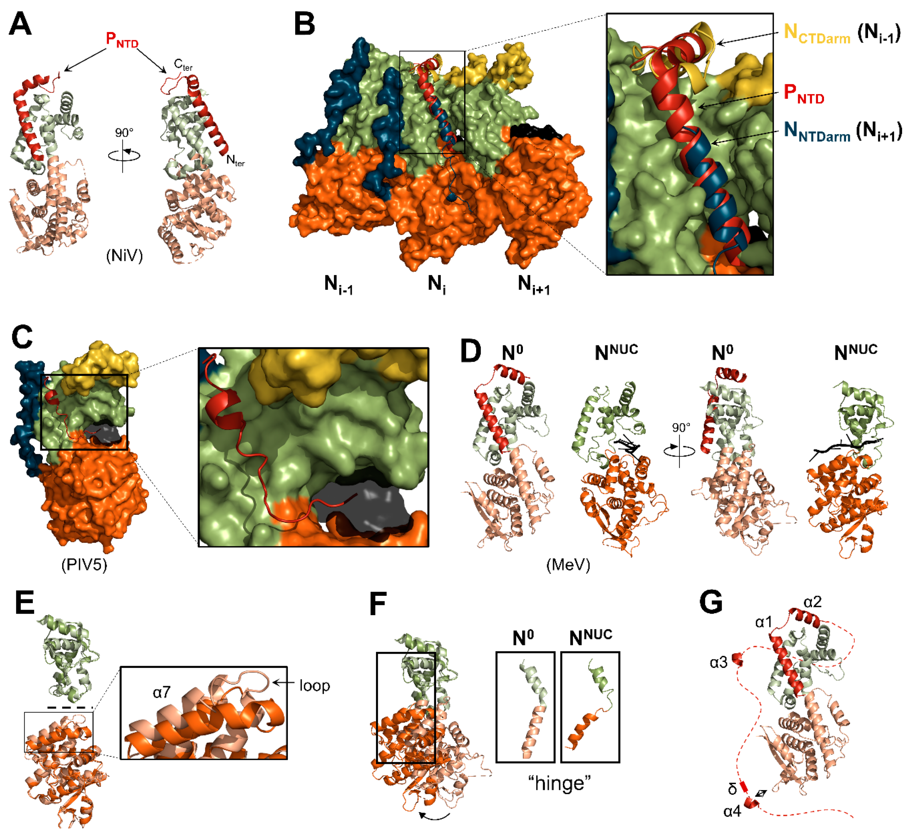 Viruses 13 02465 g008