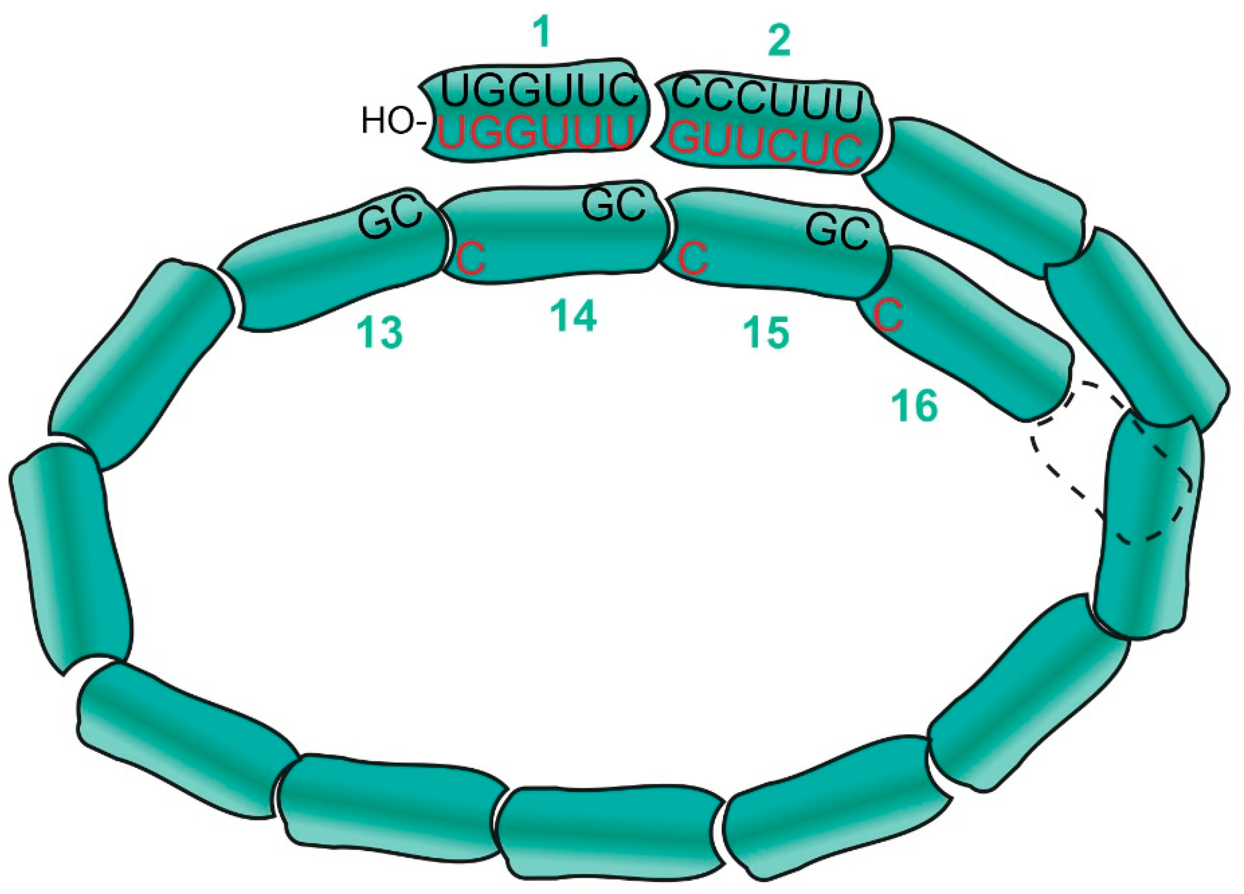 Viruses 13 02466 g003 Viruses 13 02466 g003