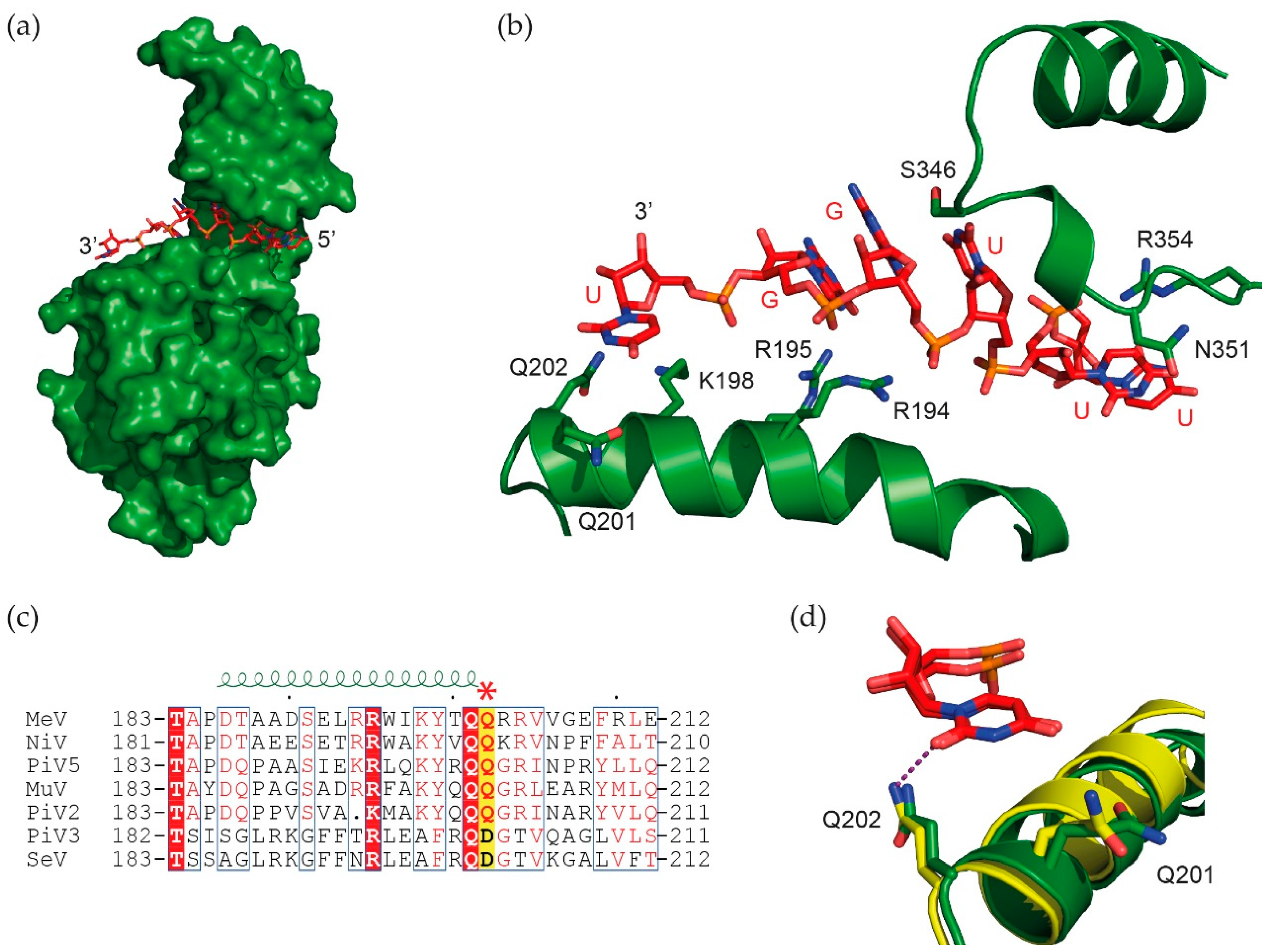 Viruses 13 02466 g004 Viruses 13 02466 g004