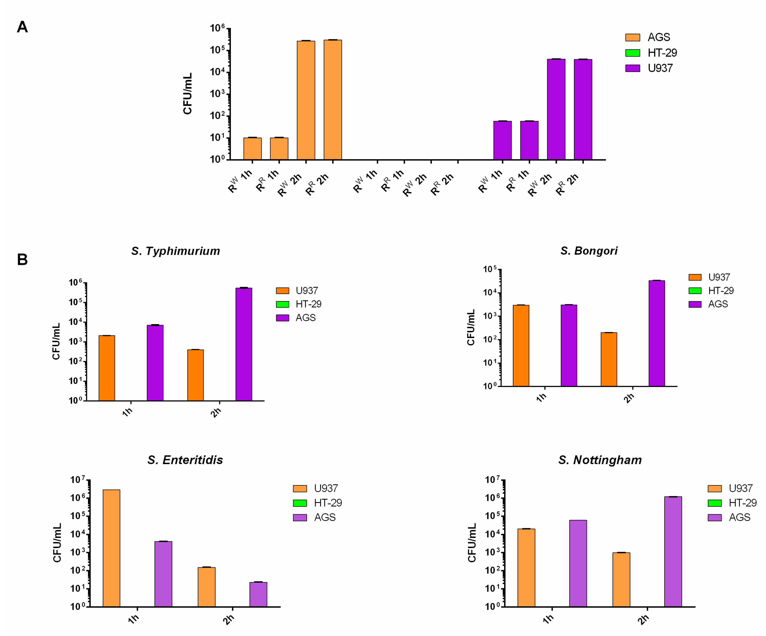 Viruses 13 02468 g001