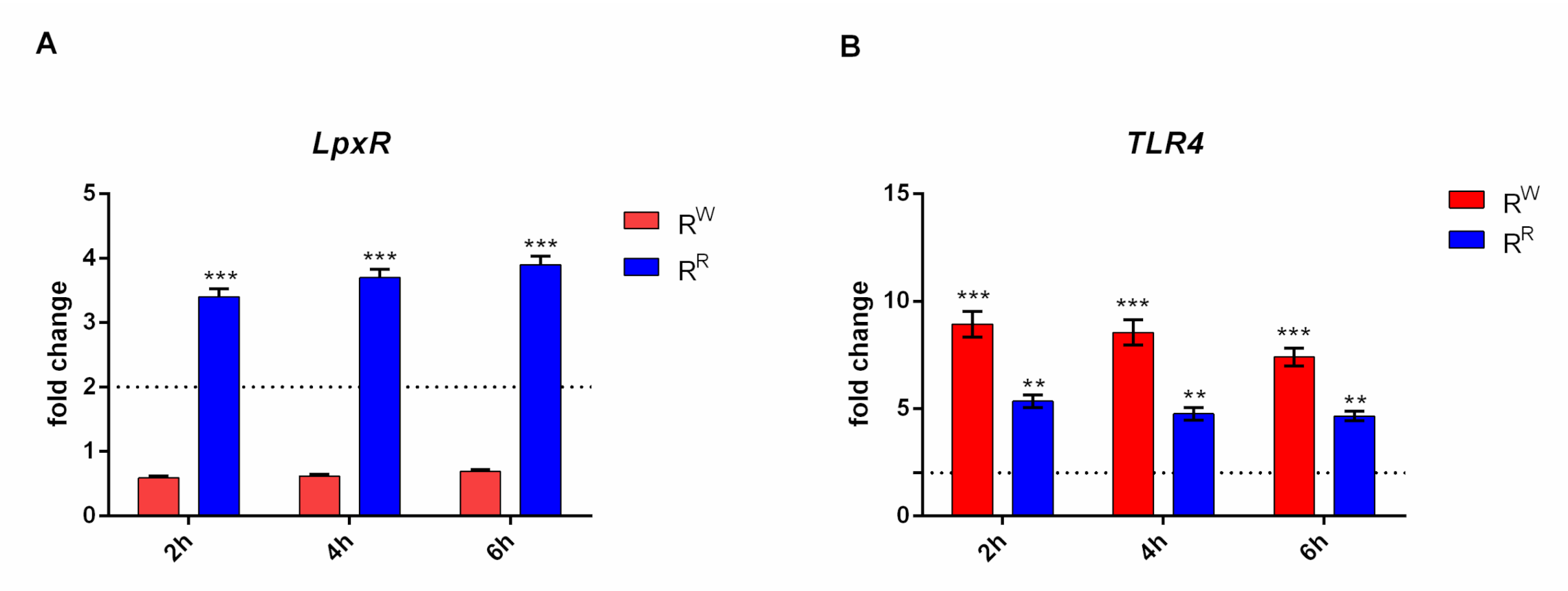 Viruses 13 02468 g004