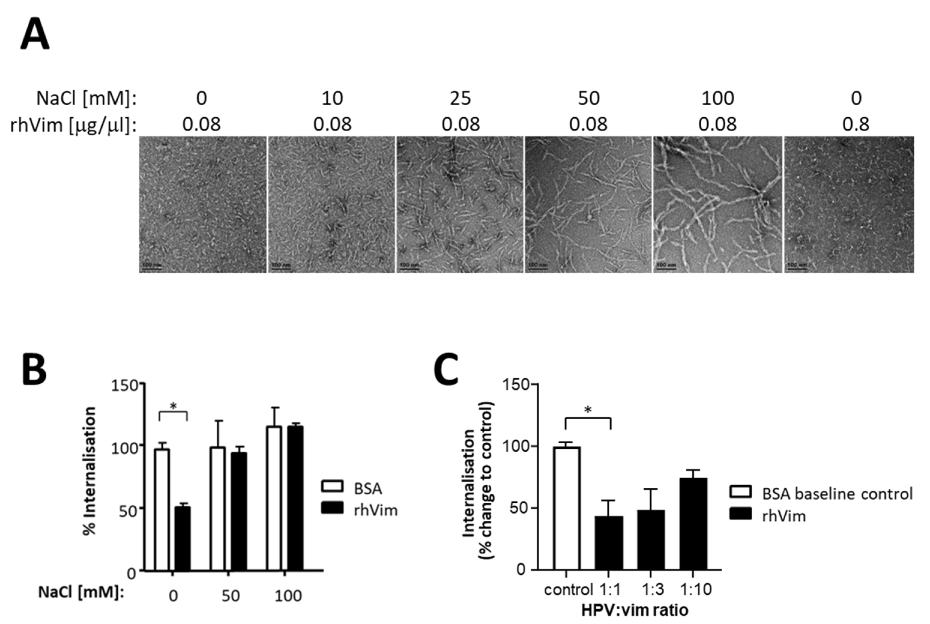 Viruses 13 02471 g001