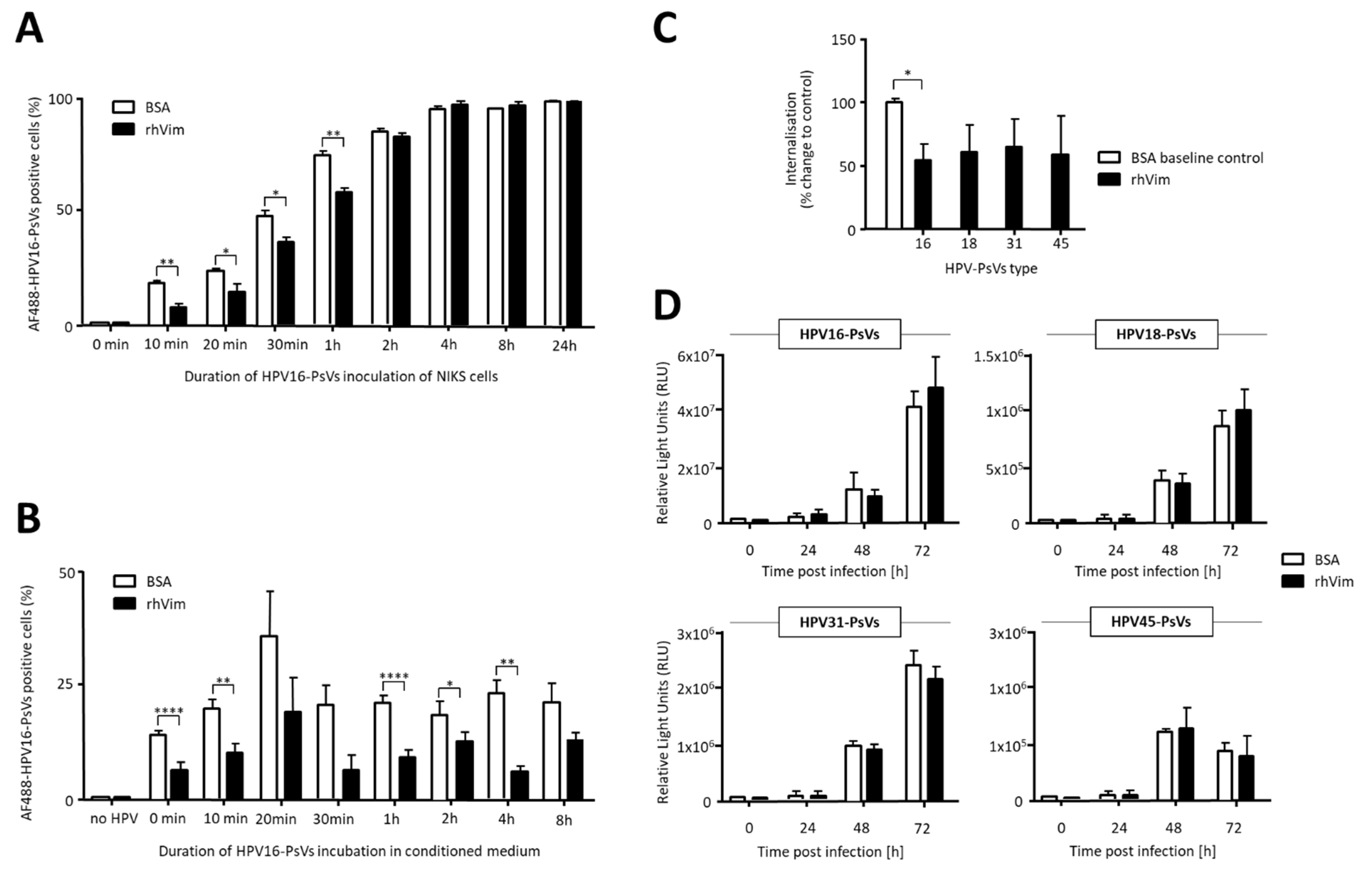 Viruses 13 02471 g002