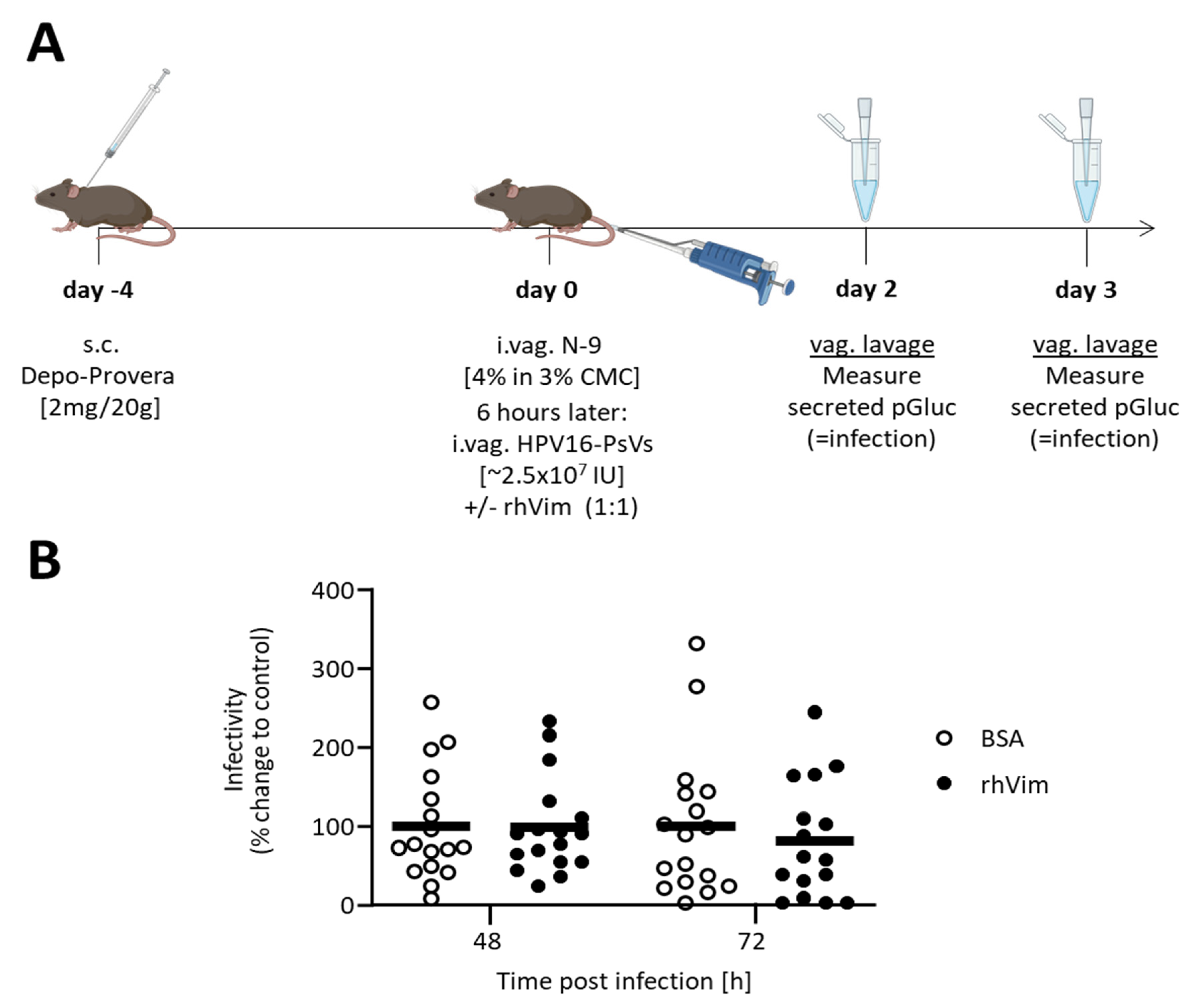 Viruses 13 02471 g003