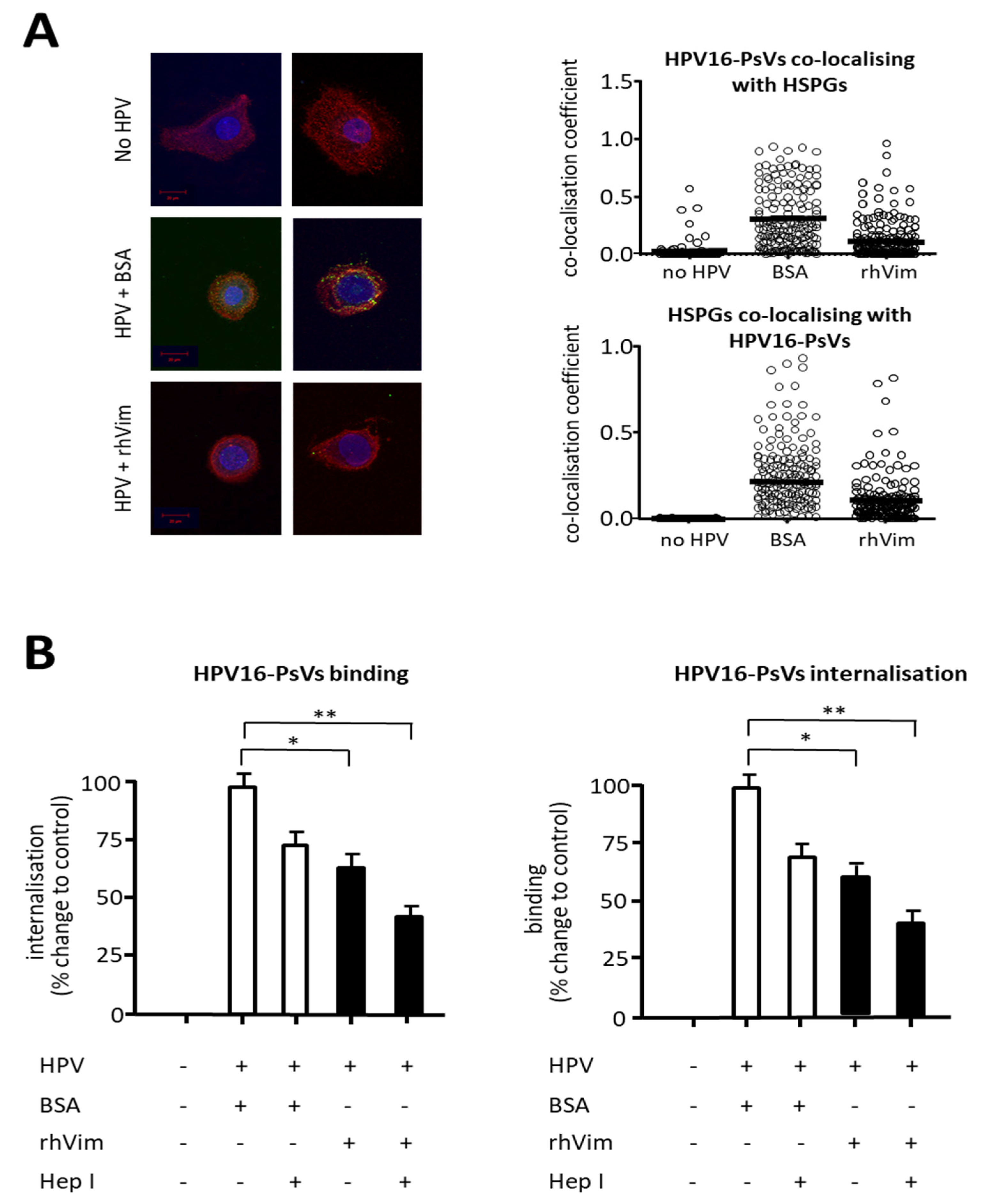 Viruses 13 02471 g004