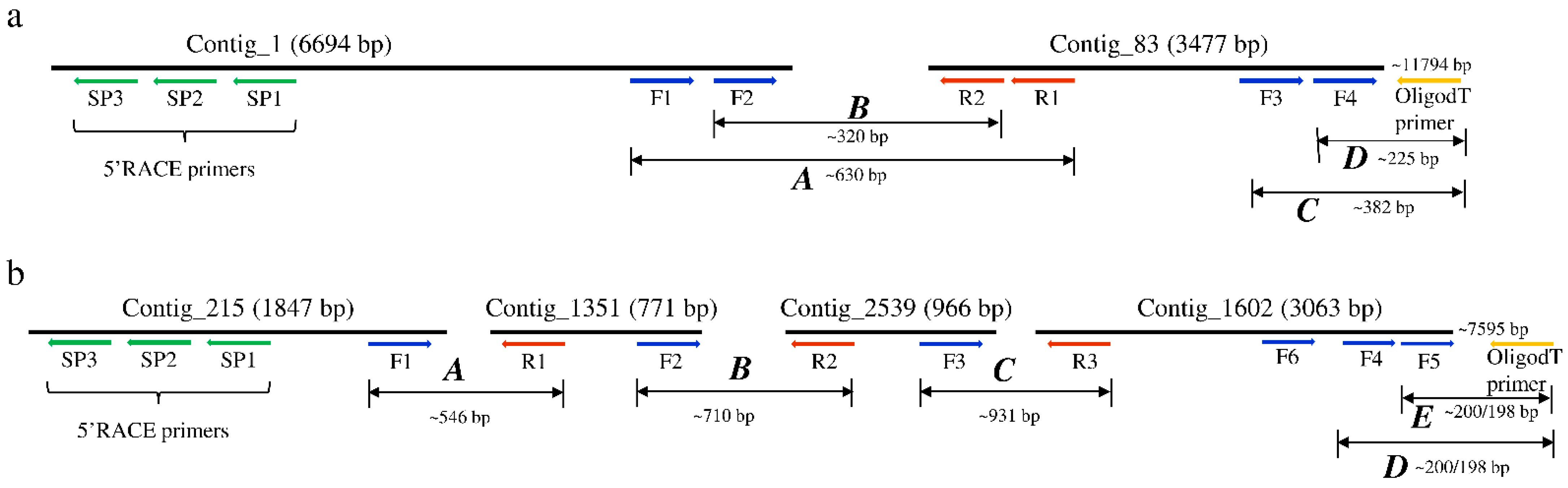 Viruses 13 02472 g001