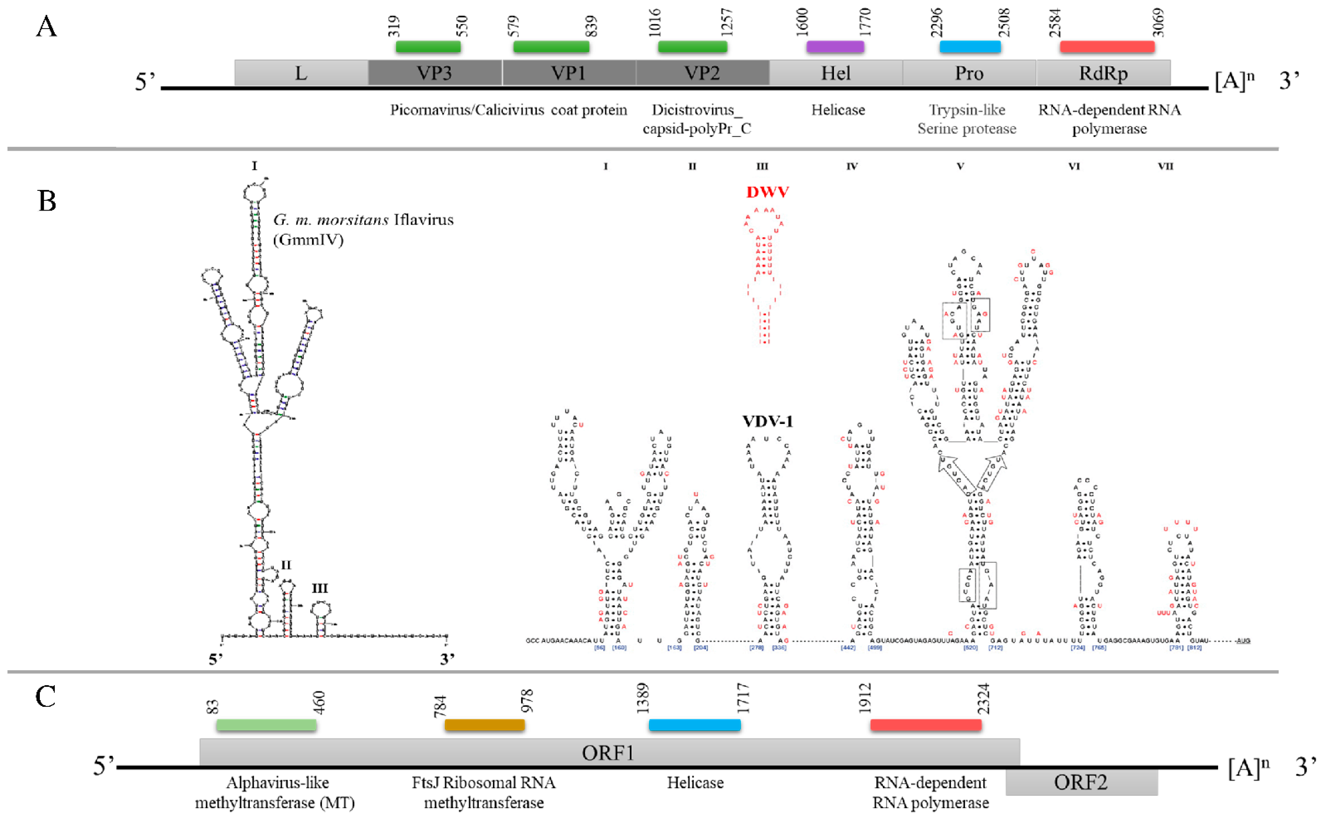 Viruses 13 02472 g002