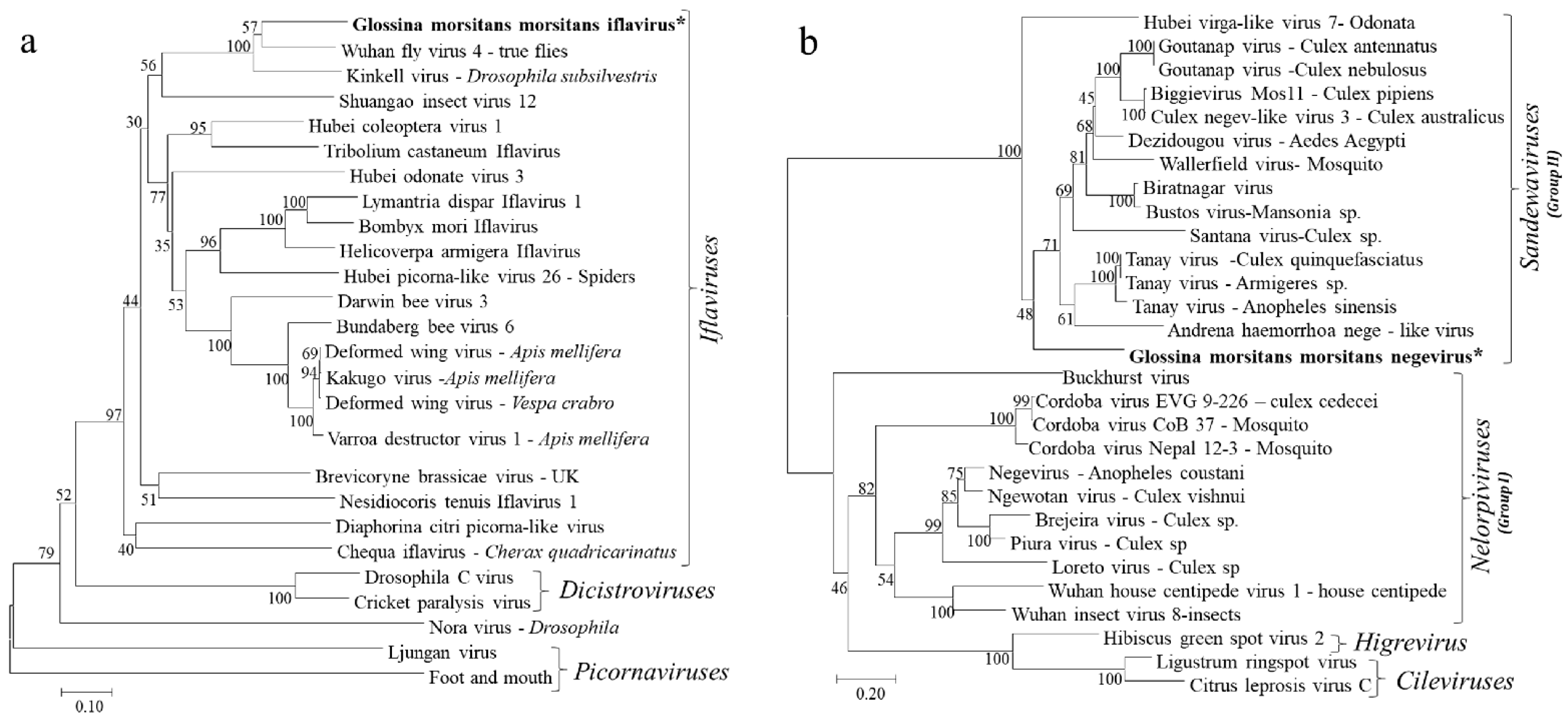 Viruses 13 02472 g003