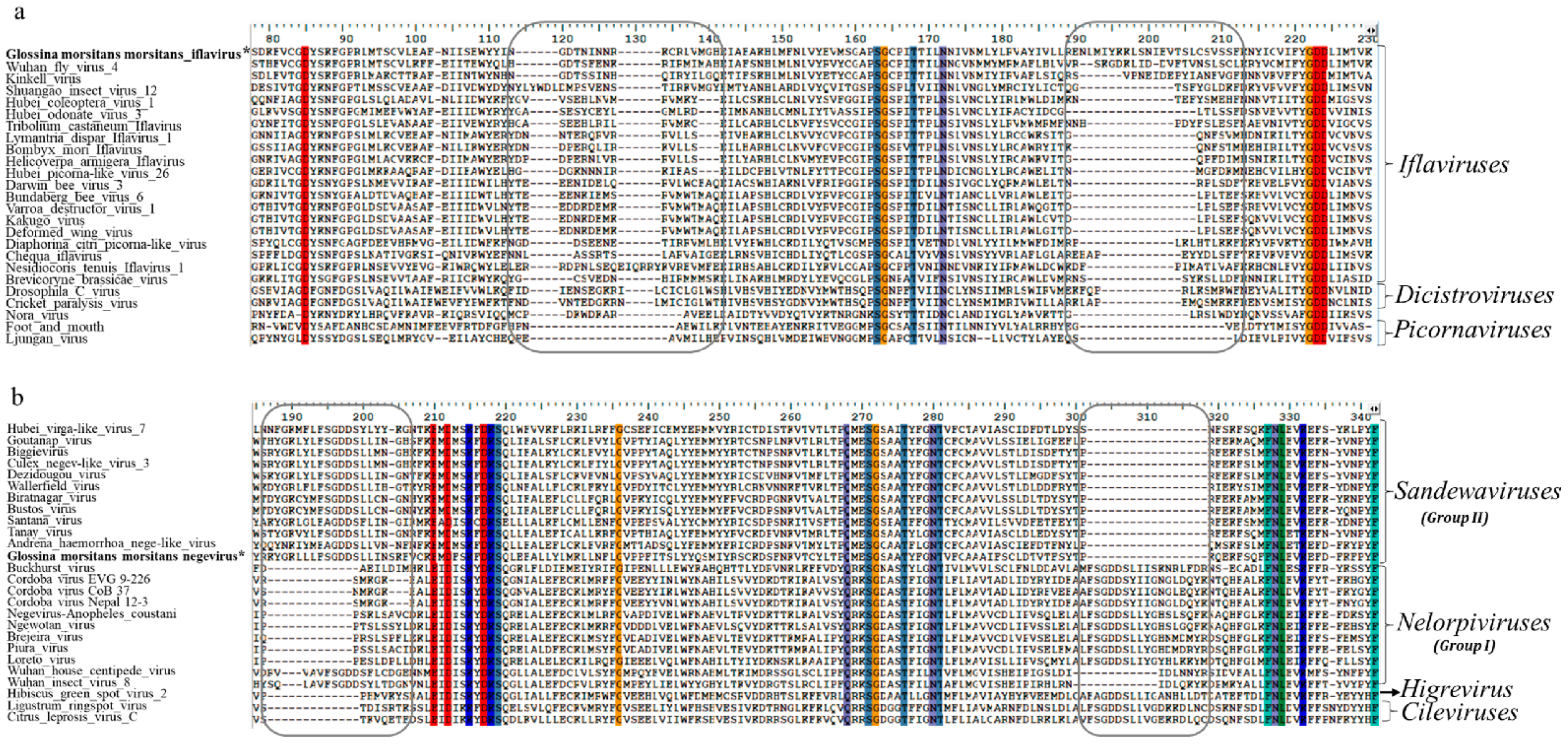 Viruses 13 02472 g004