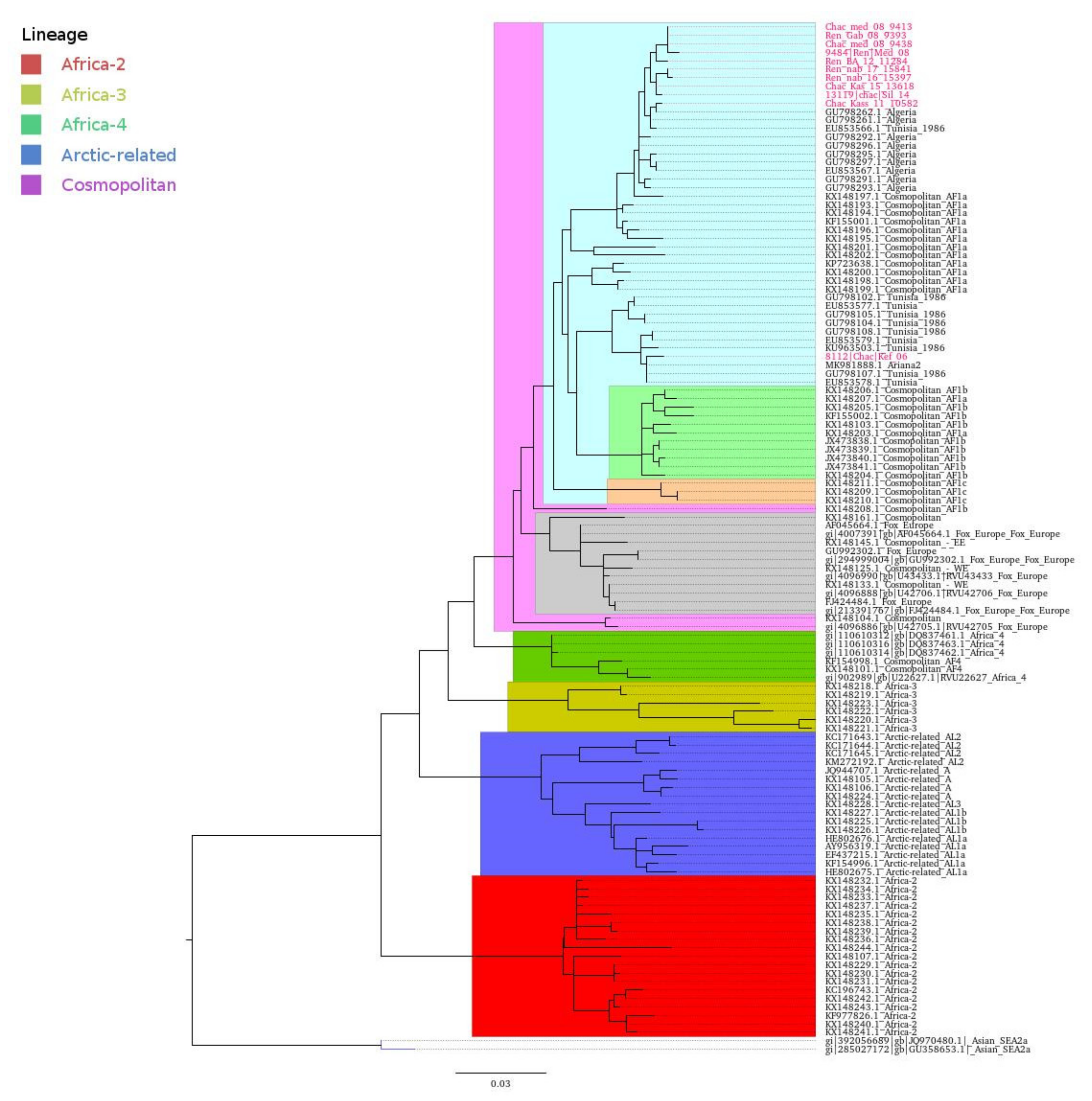 Viruses 13 02473 g001