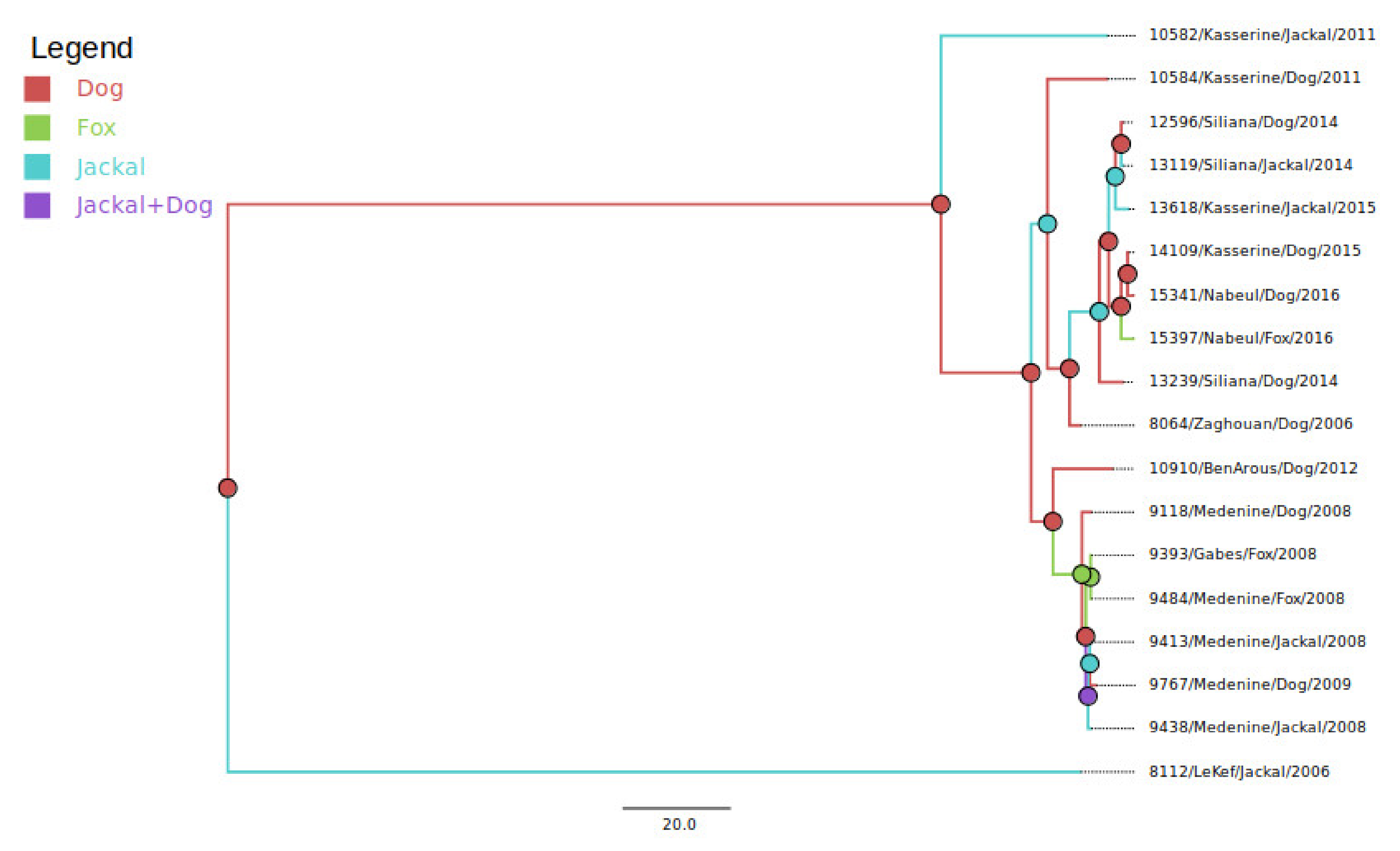 Viruses 13 02473 g004