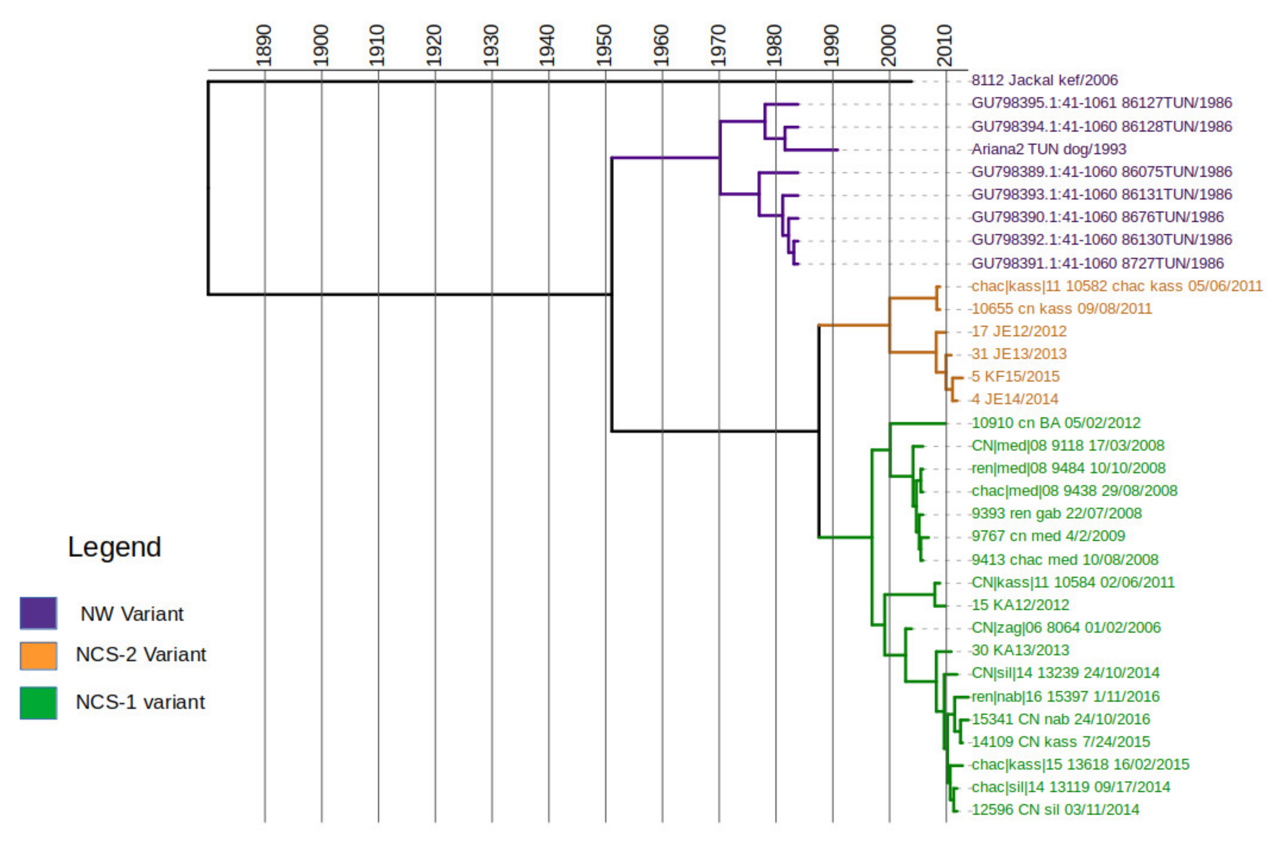 Viruses 13 02473 g005