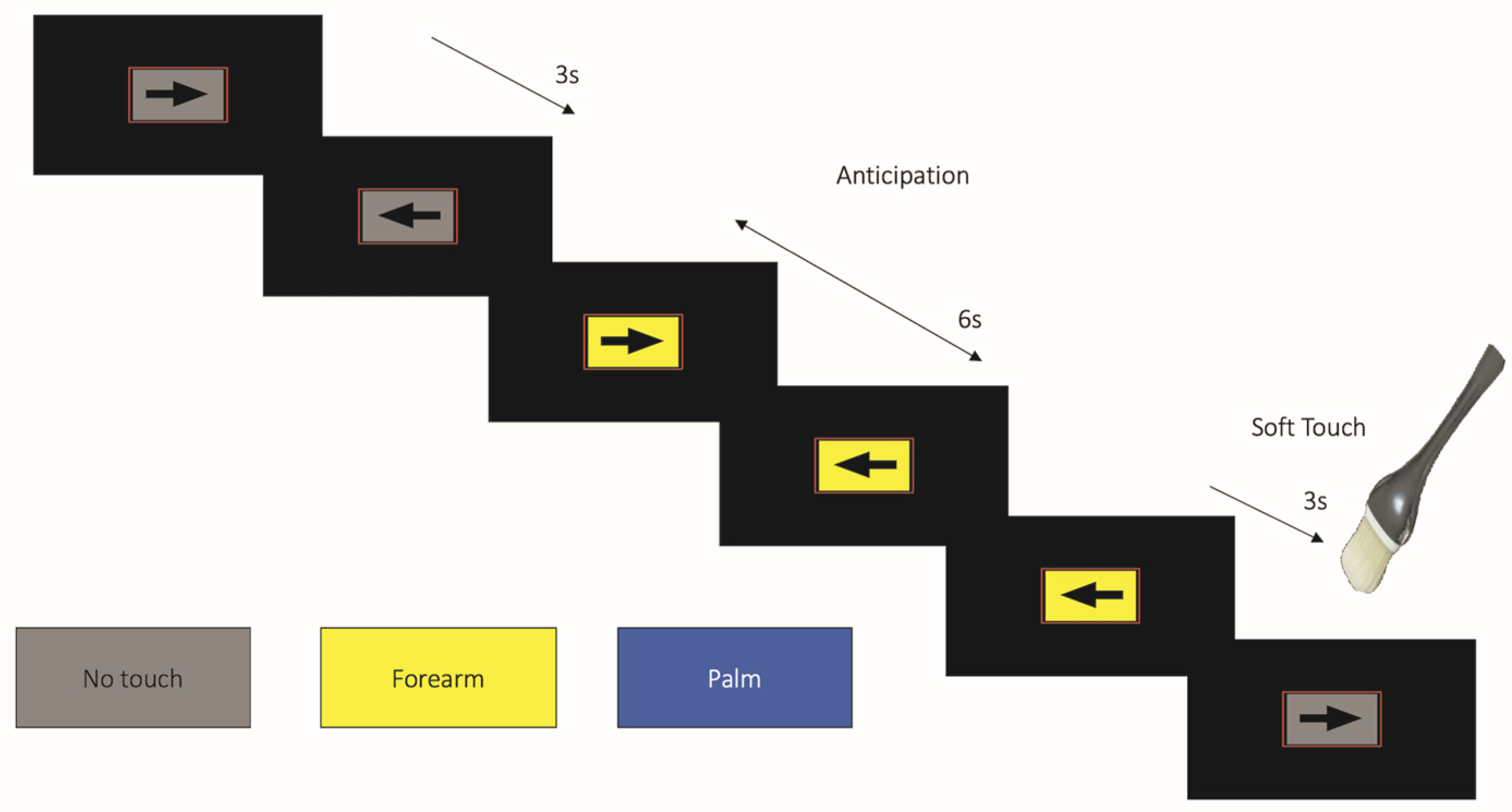 Viruses 13 02476 g001