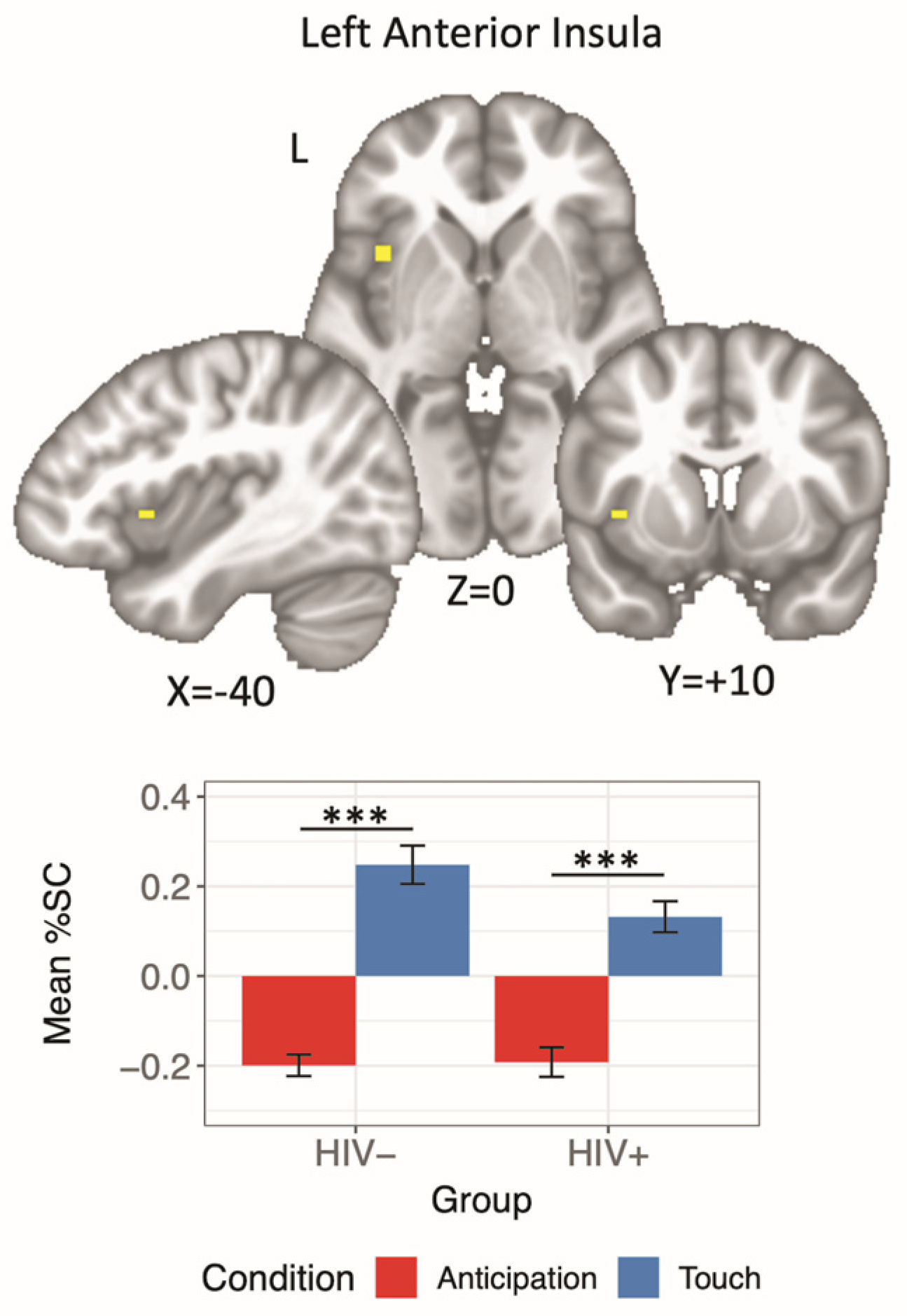 Viruses 13 02476 g002