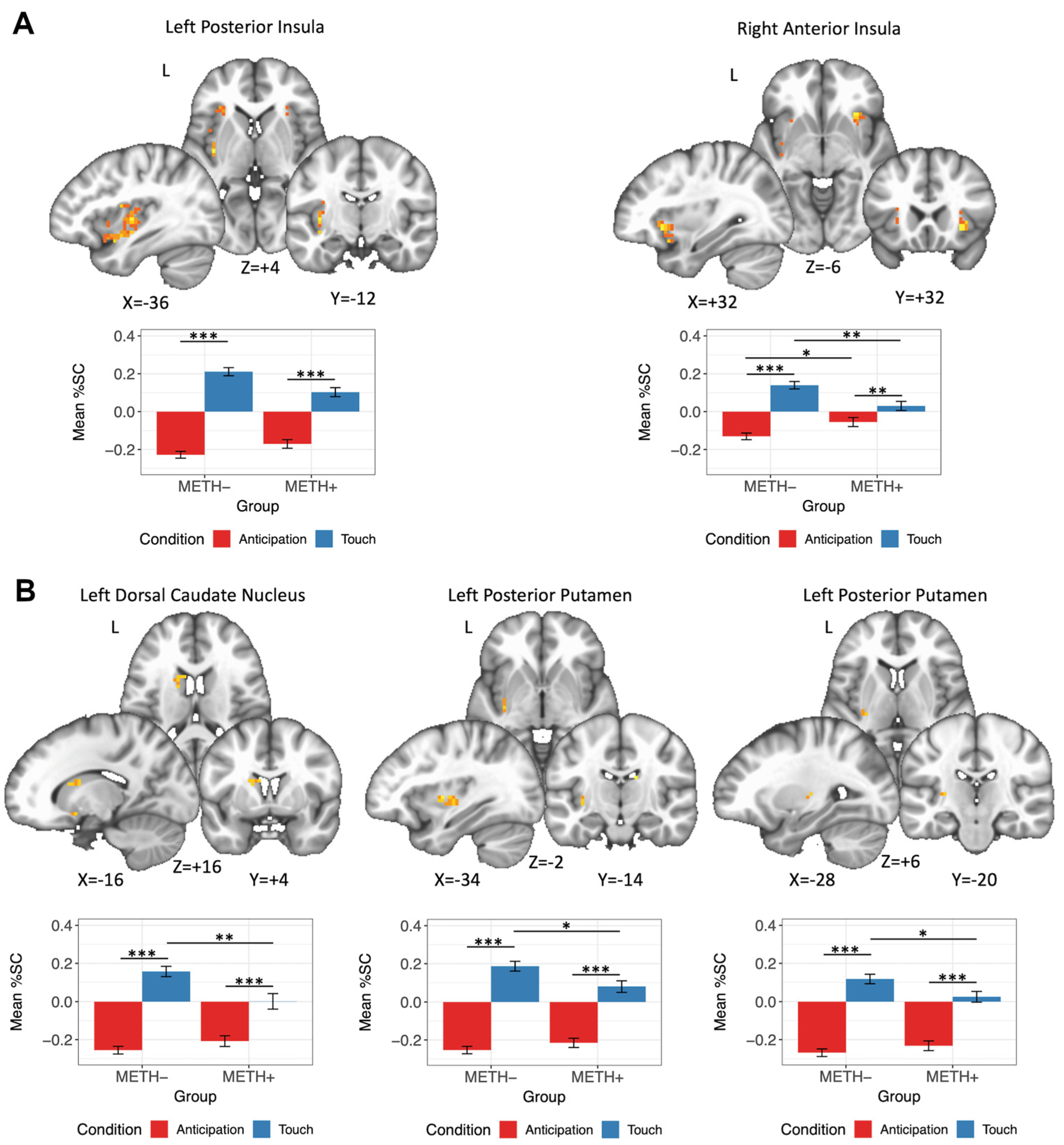 Viruses 13 02476 g003