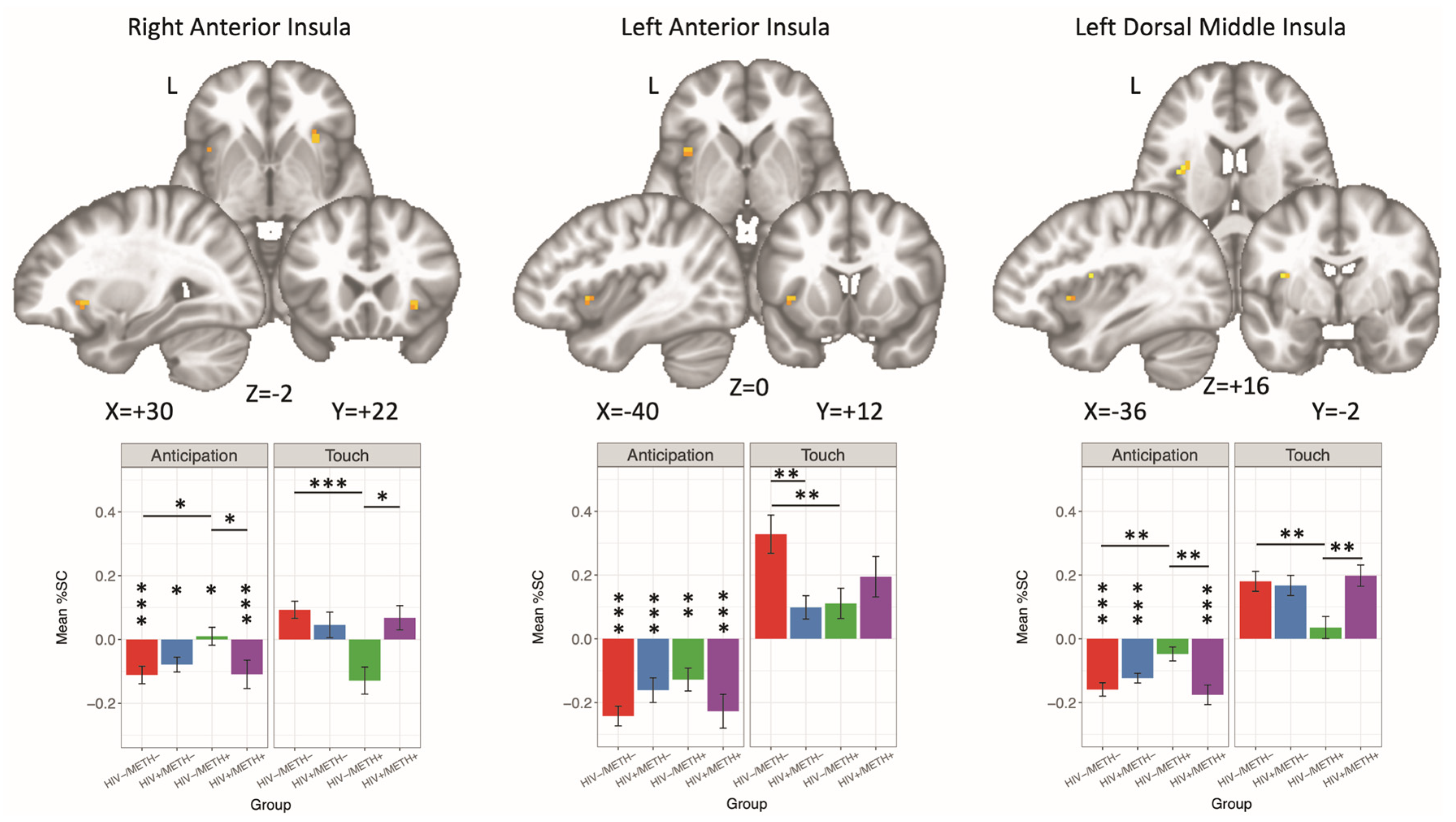 Viruses 13 02476 g004
