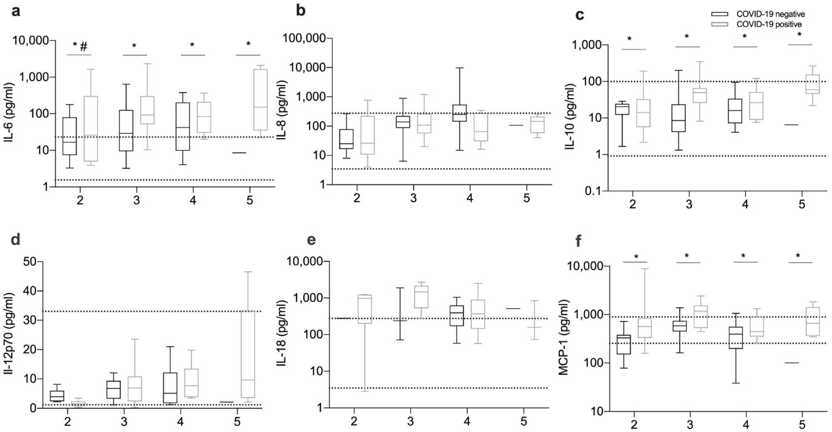 Viruses 13 02482 g003