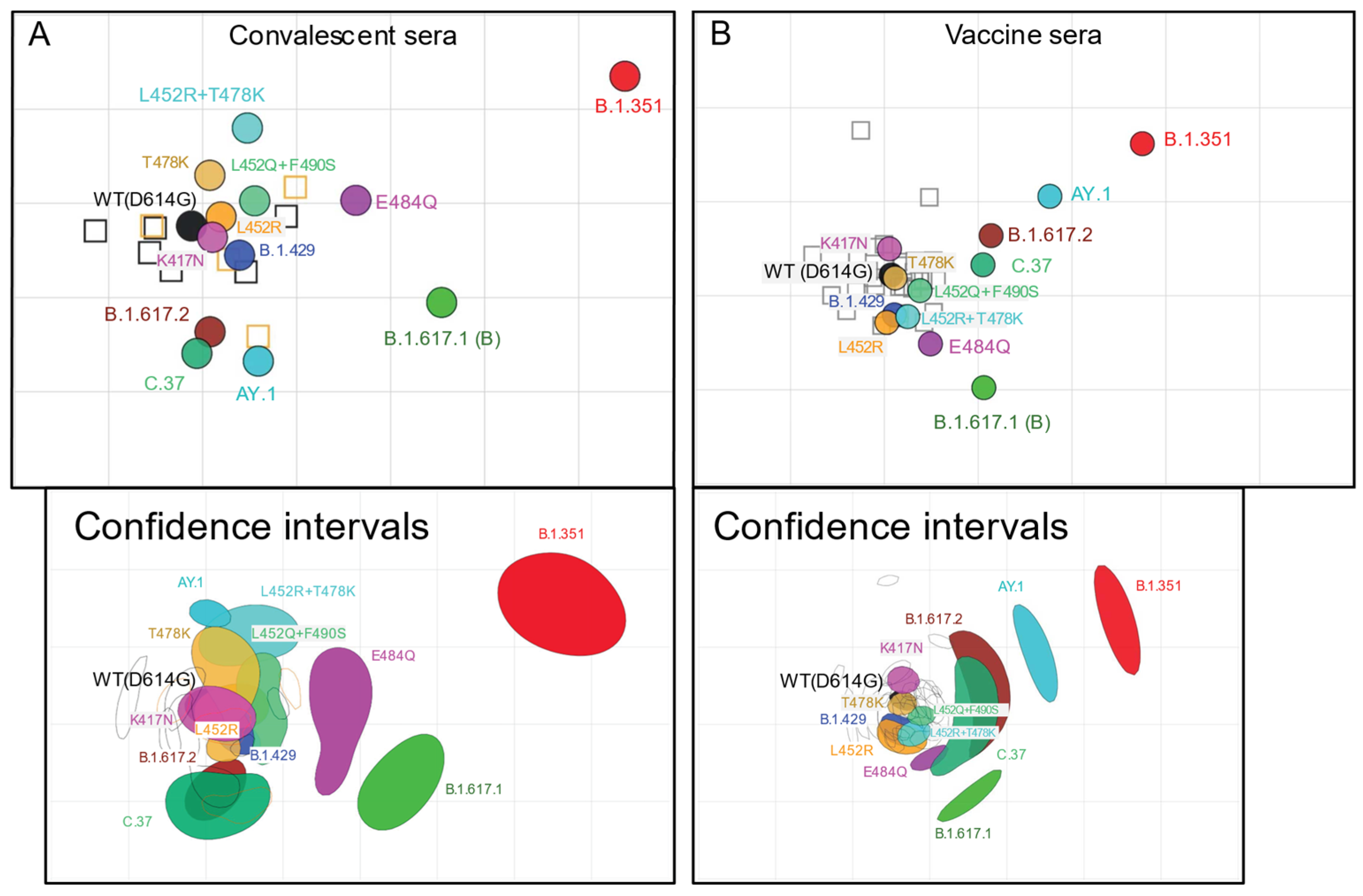 Viruses 13 02485 g003