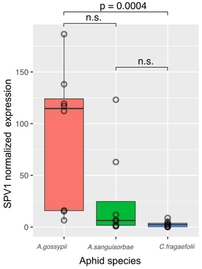 Viruses 13 02487 g0a1 550