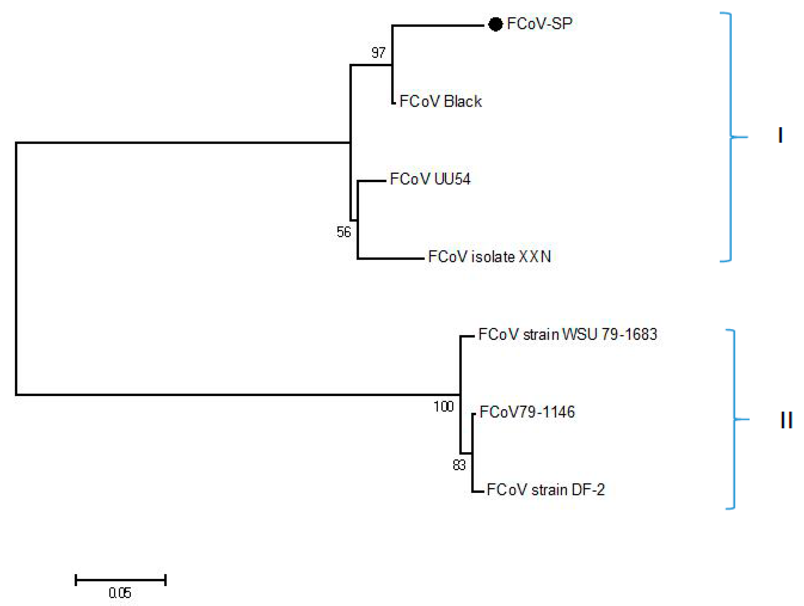 Viruses 13 02496 g001