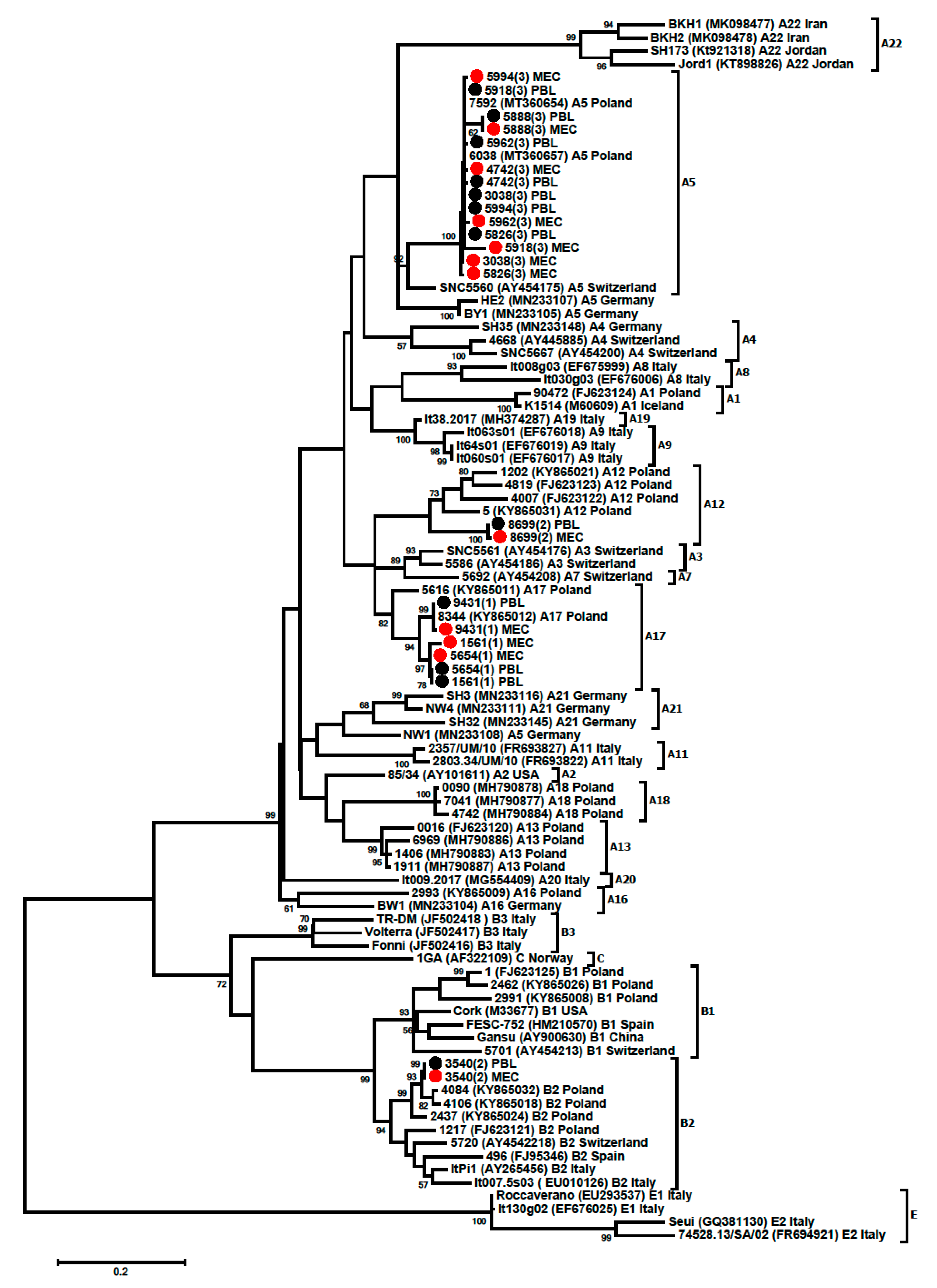 Viruses 13 02497 g002