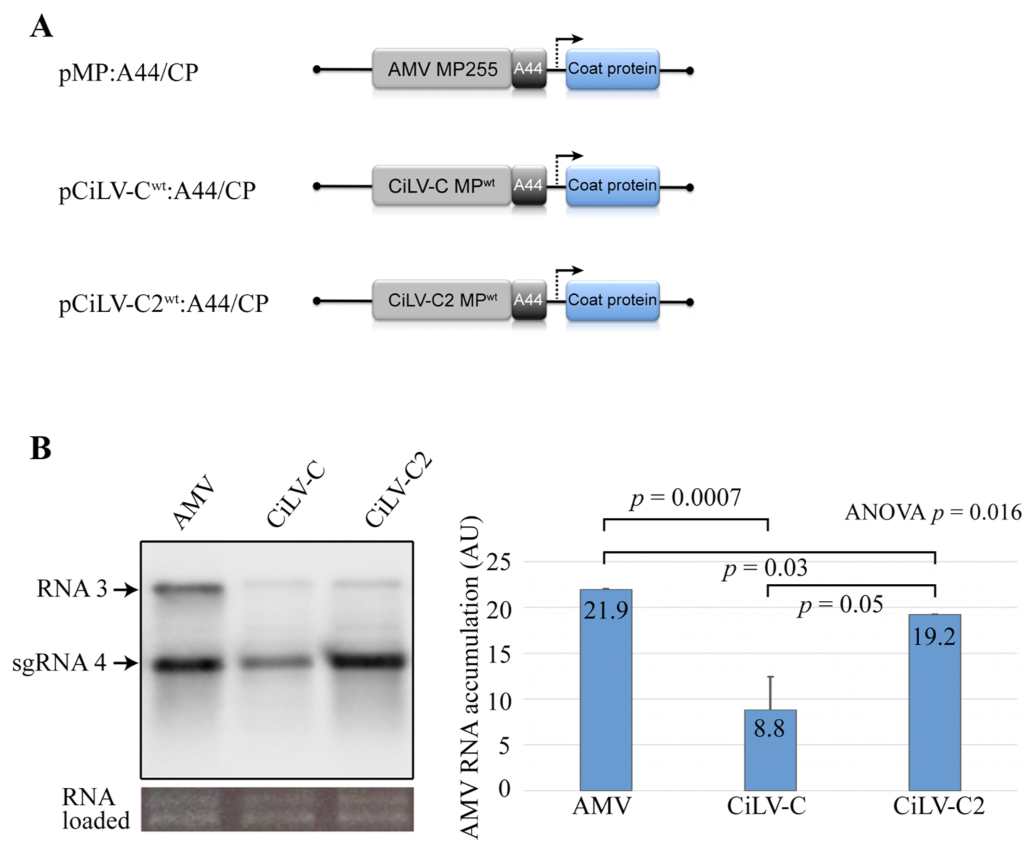 Viruses 13 02498 g001