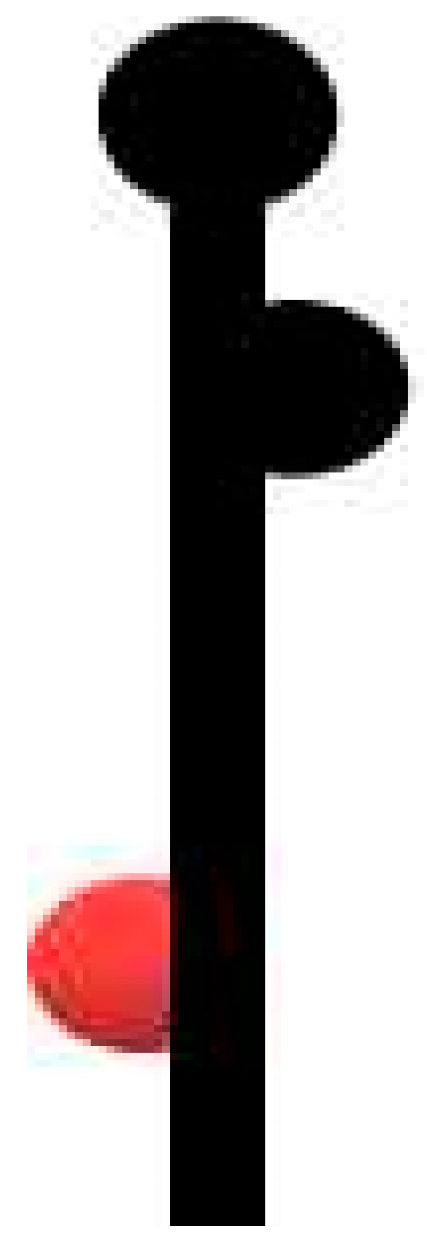 Viruses 13 02499 i005