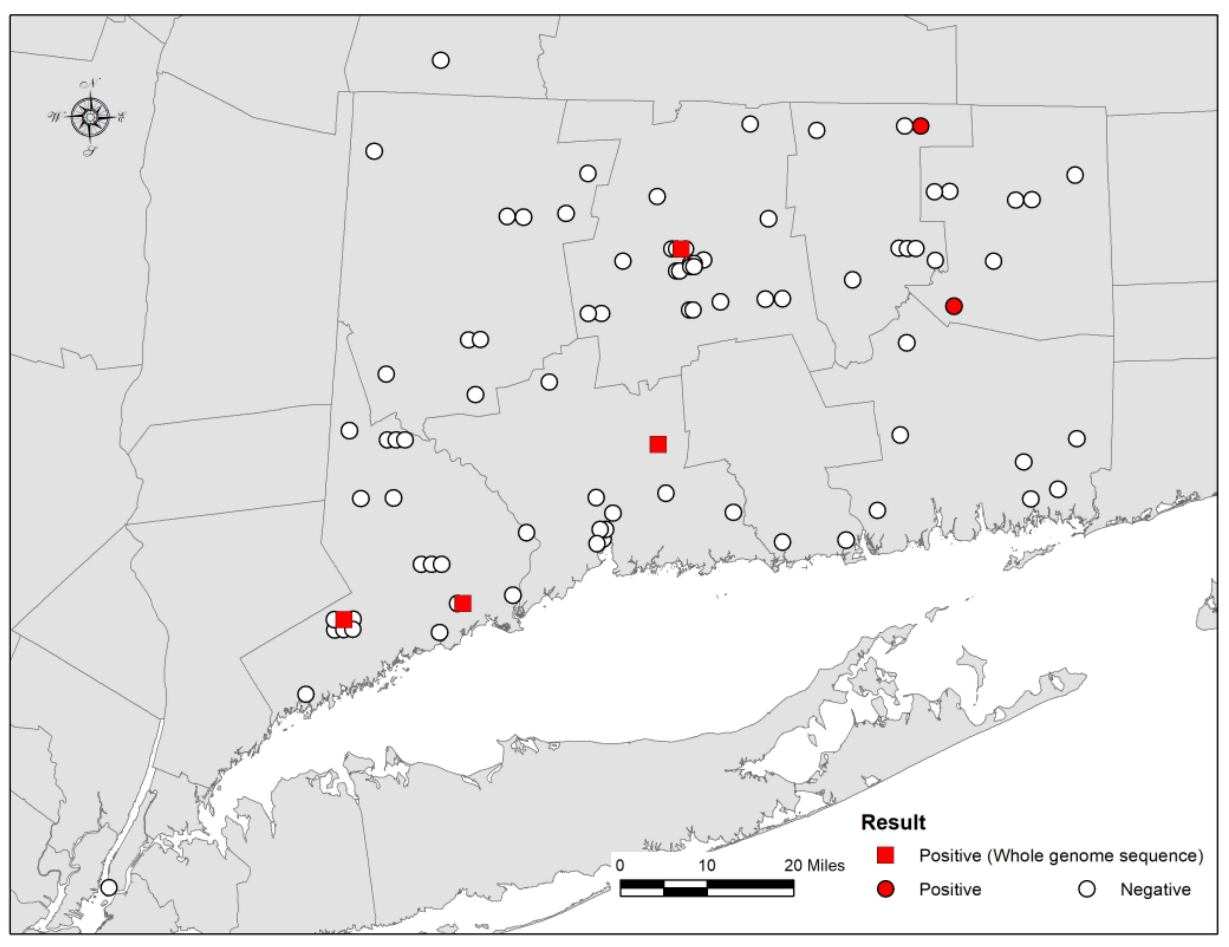 Viruses 13 02500 g001