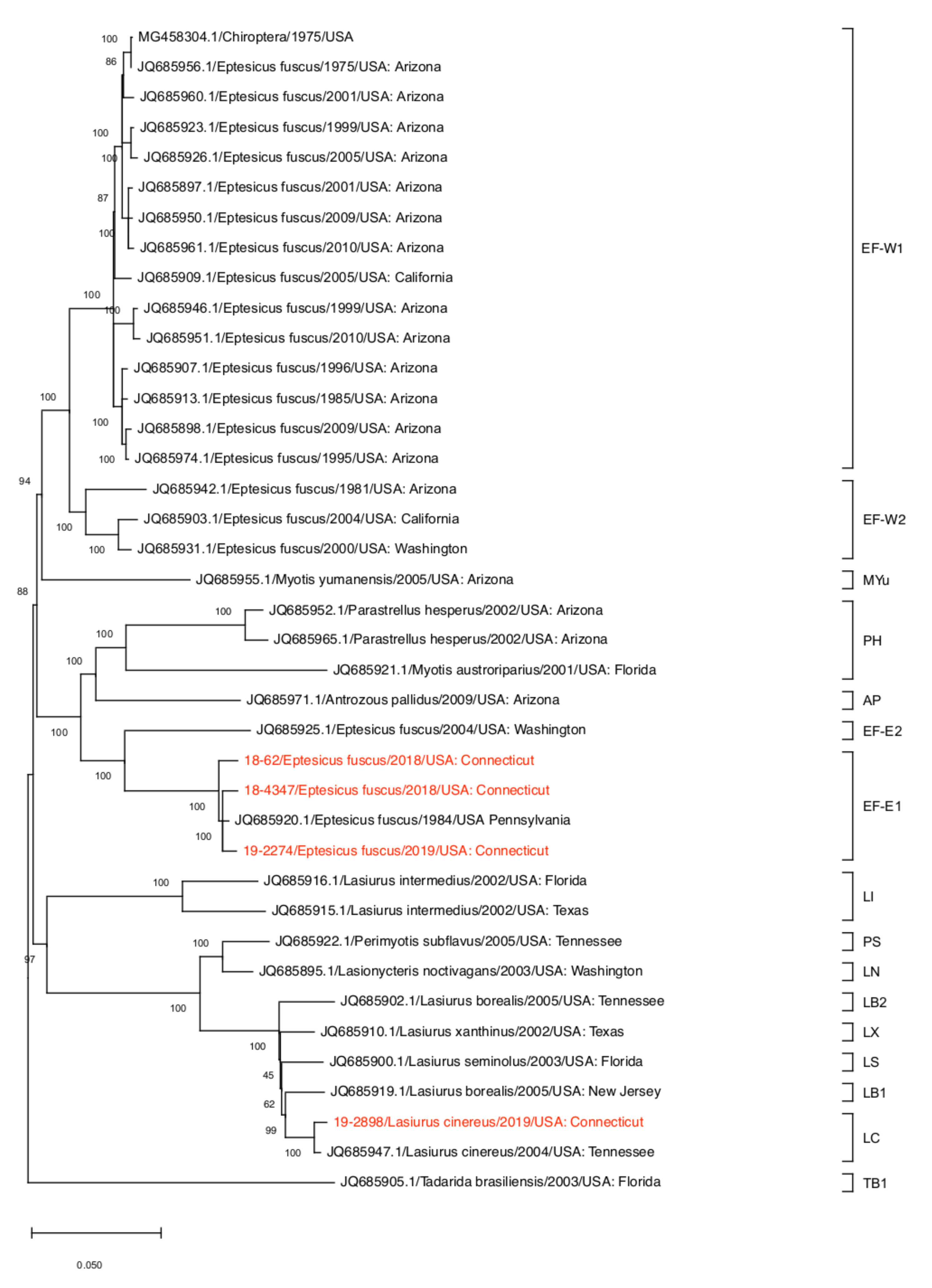 Viruses 13 02500 g002